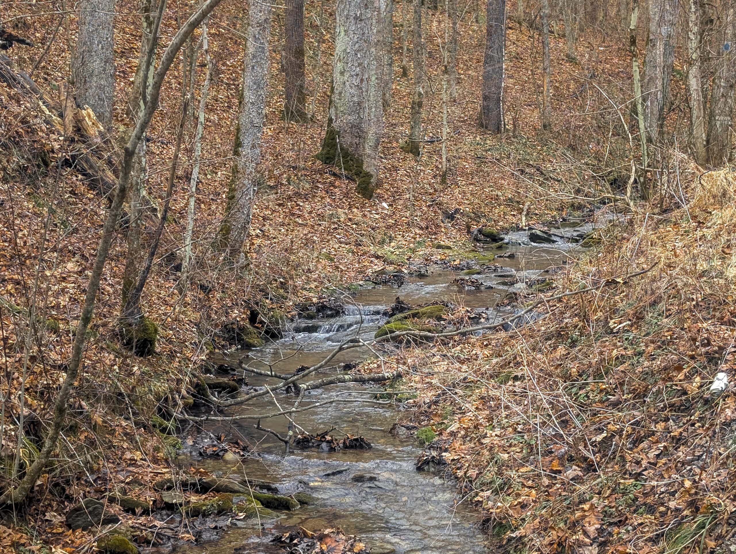 Tract 7 Timberland Property bordering Wayne National Forest