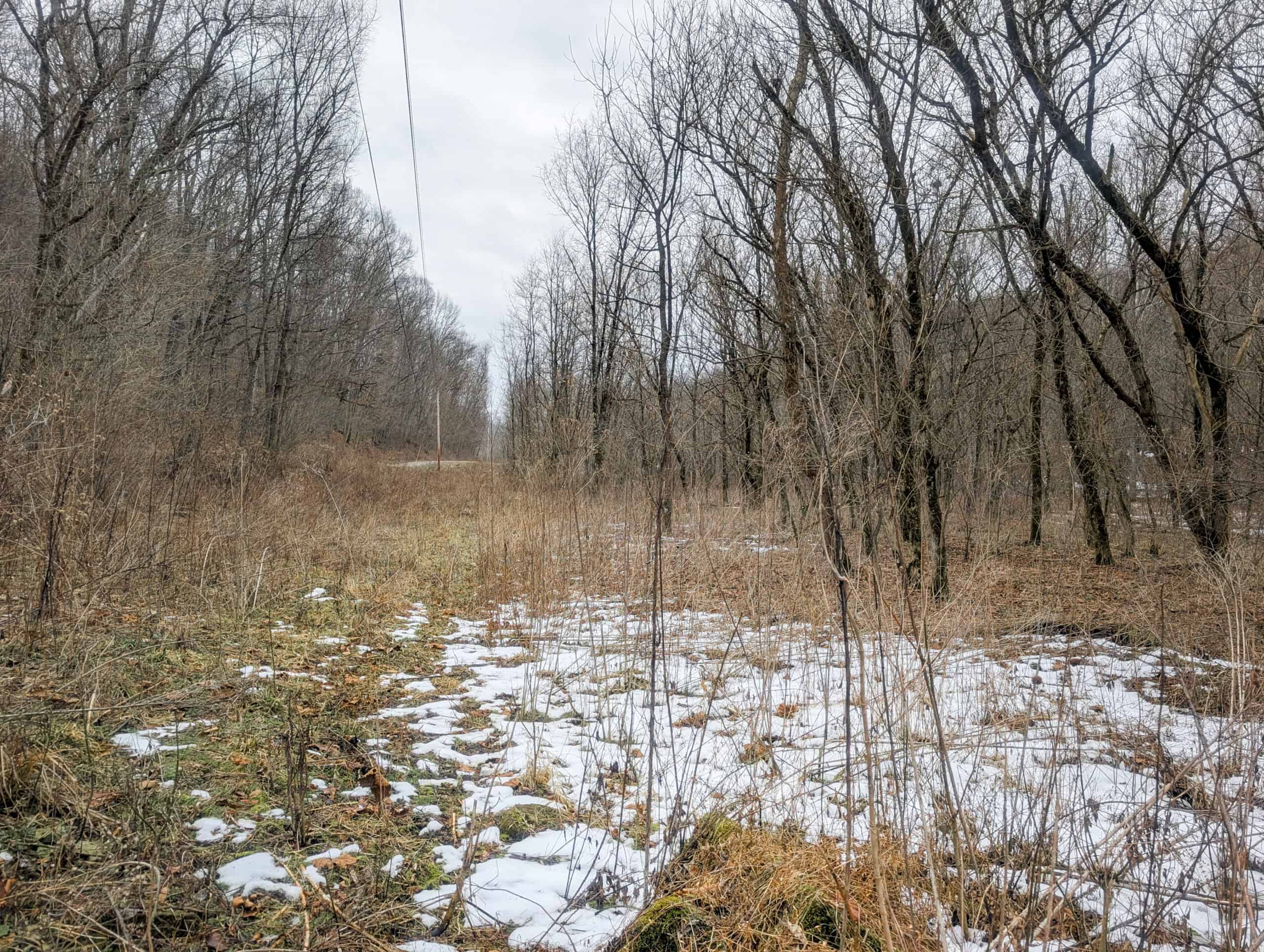 Tract 7 Timberland Property bordering Wayne National Forest