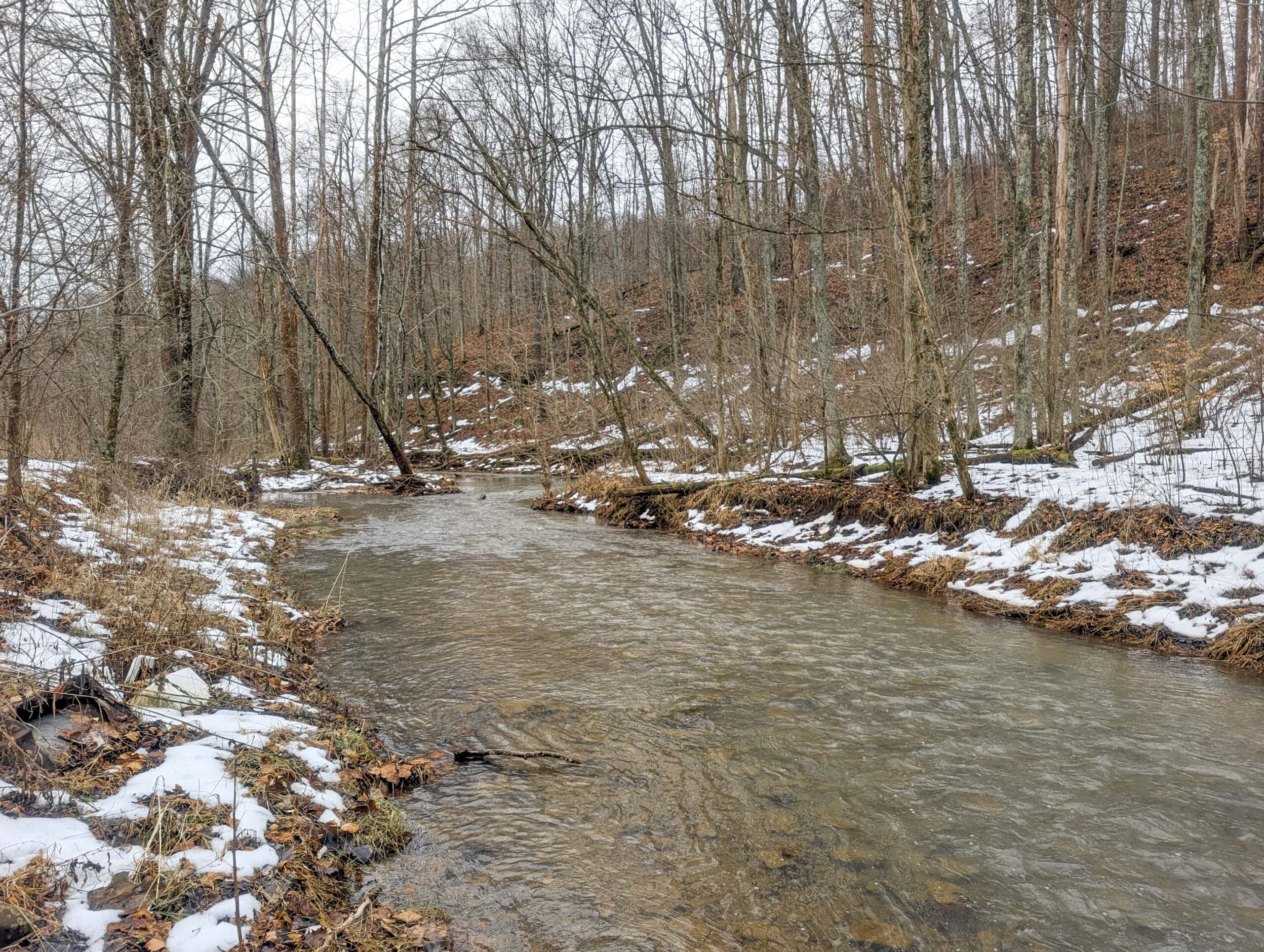 Tract 7 Timberland Property bordering Wayne National Forest