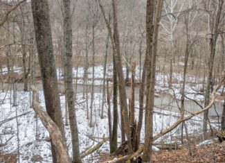 Tract 7 Timberland Property bordering Wayne National Forest