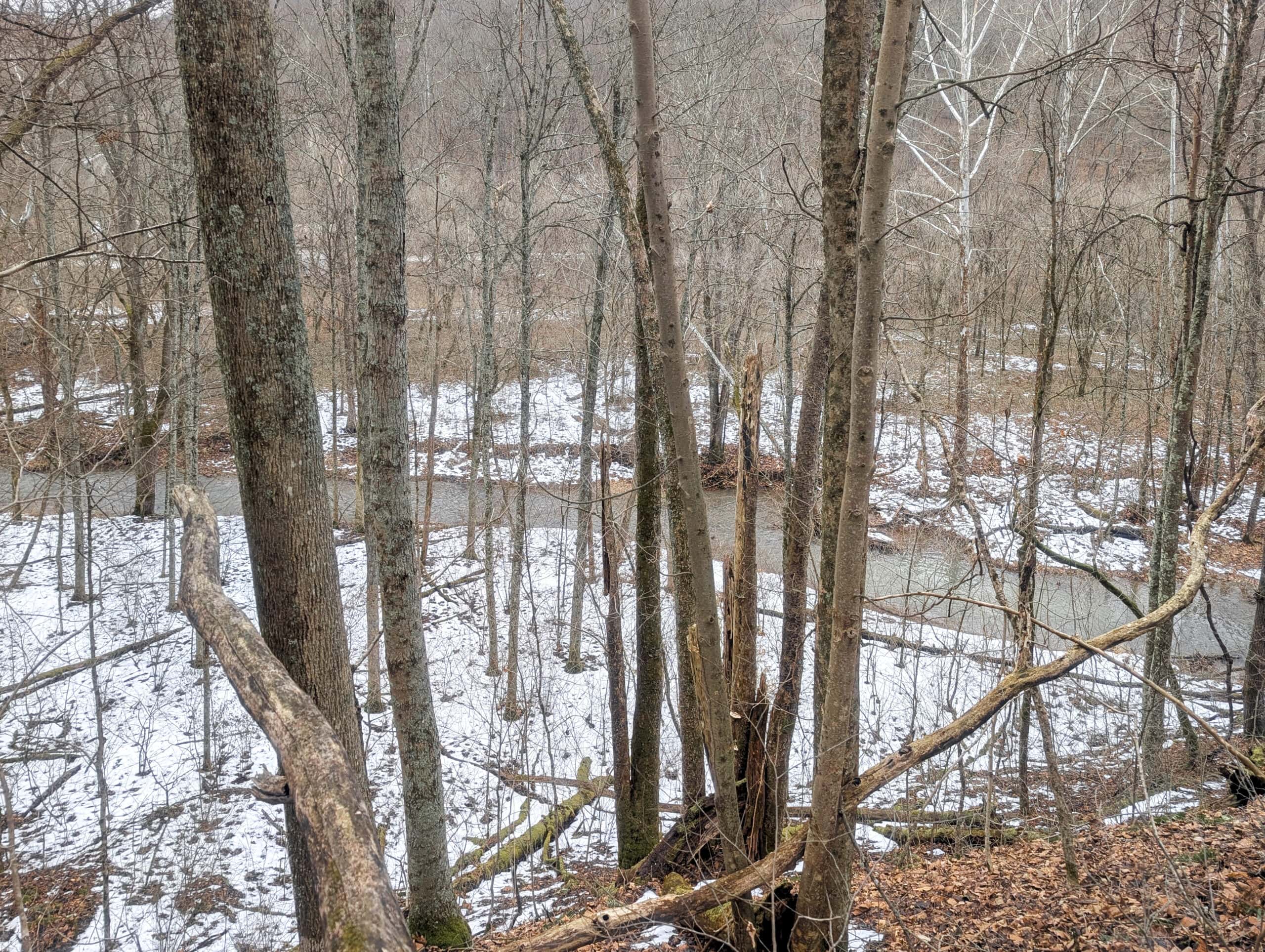 Tract 7 Timberland Property bordering Wayne National Forest