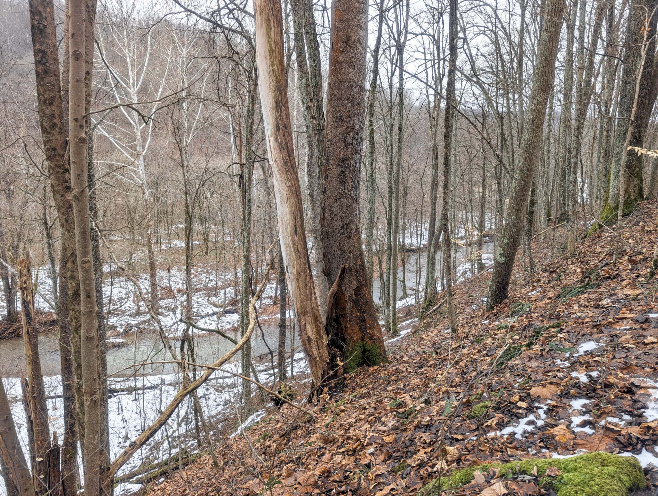 Tract 7 Timberland Property bordering Wayne National Forest