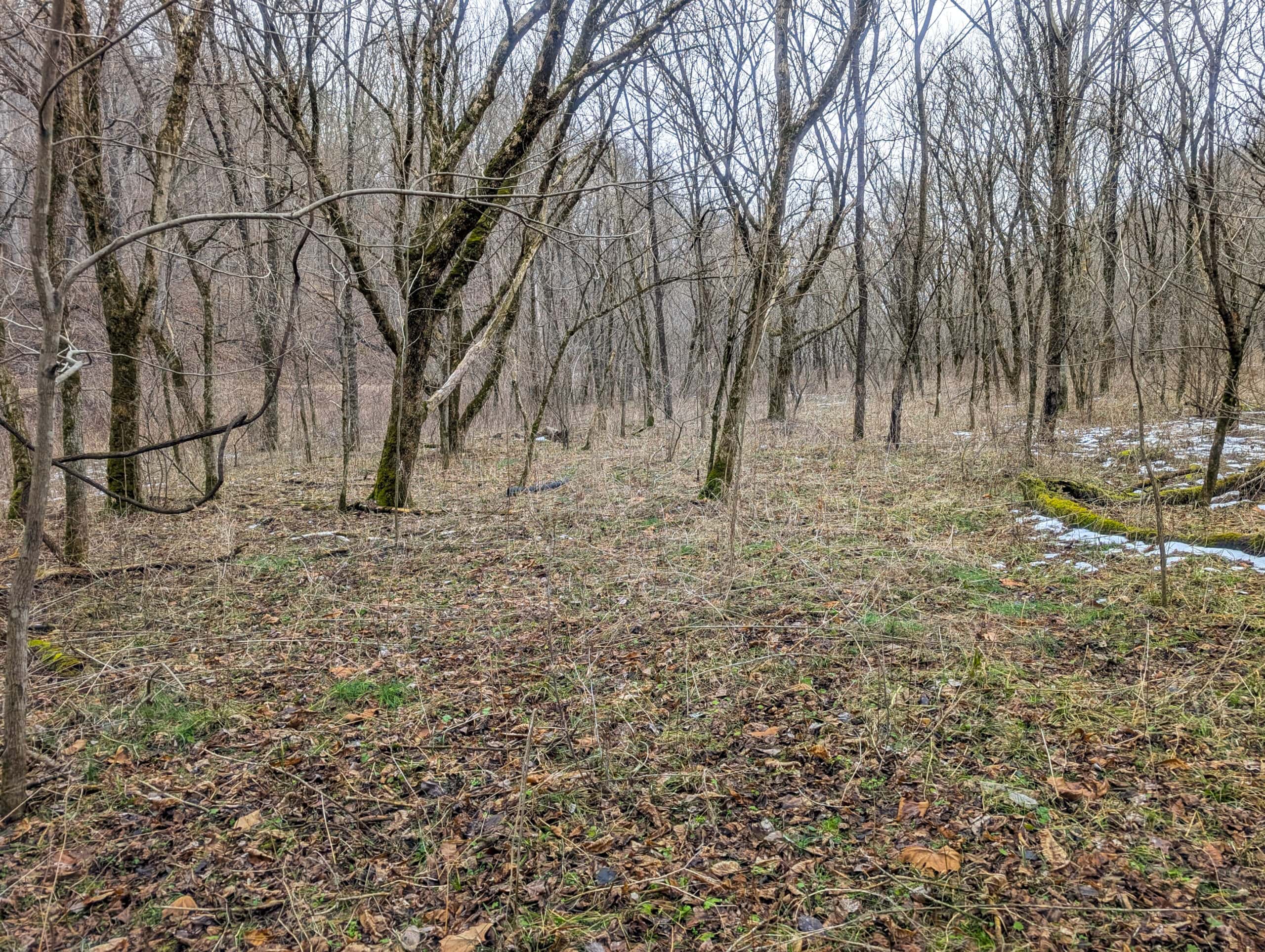 Tract 7 Timberland Property bordering Wayne National Forest