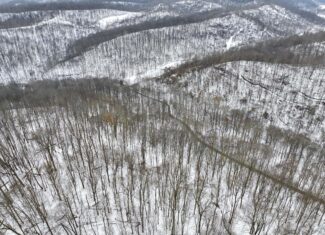 Tract 7 Timberland Property bordering Wayne National Forest