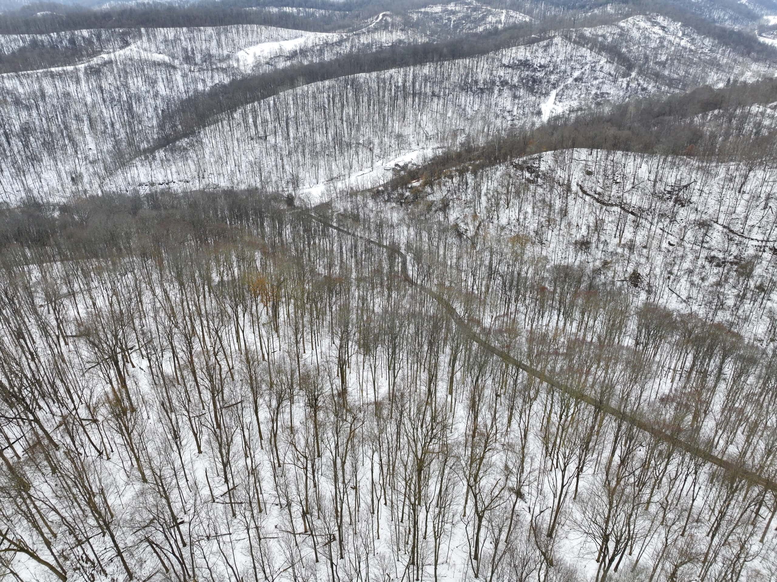 Tract 7 Timberland Property bordering Wayne National Forest