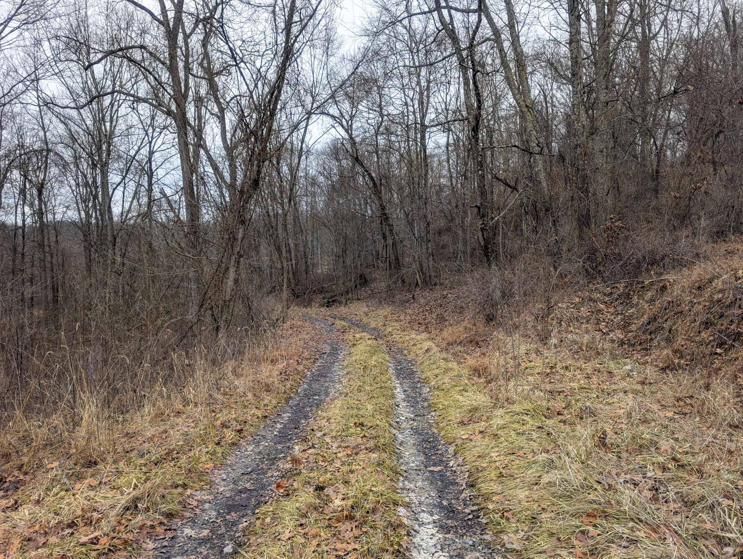 Tract 8 Dead End Road Old Homestead with Hunting and Timberland