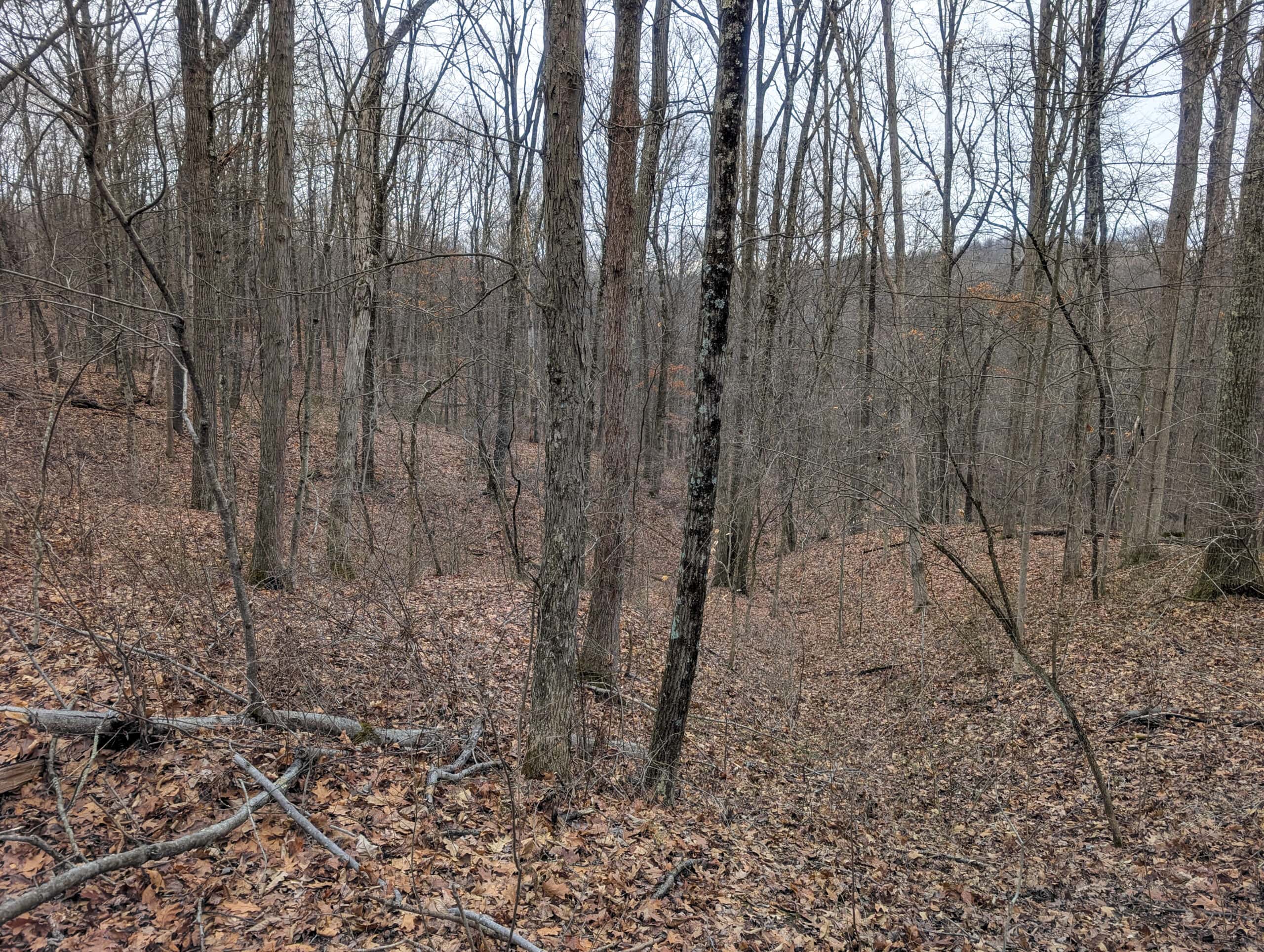 Tract 8 Dead End Road Old Homestead with Hunting and Timberland