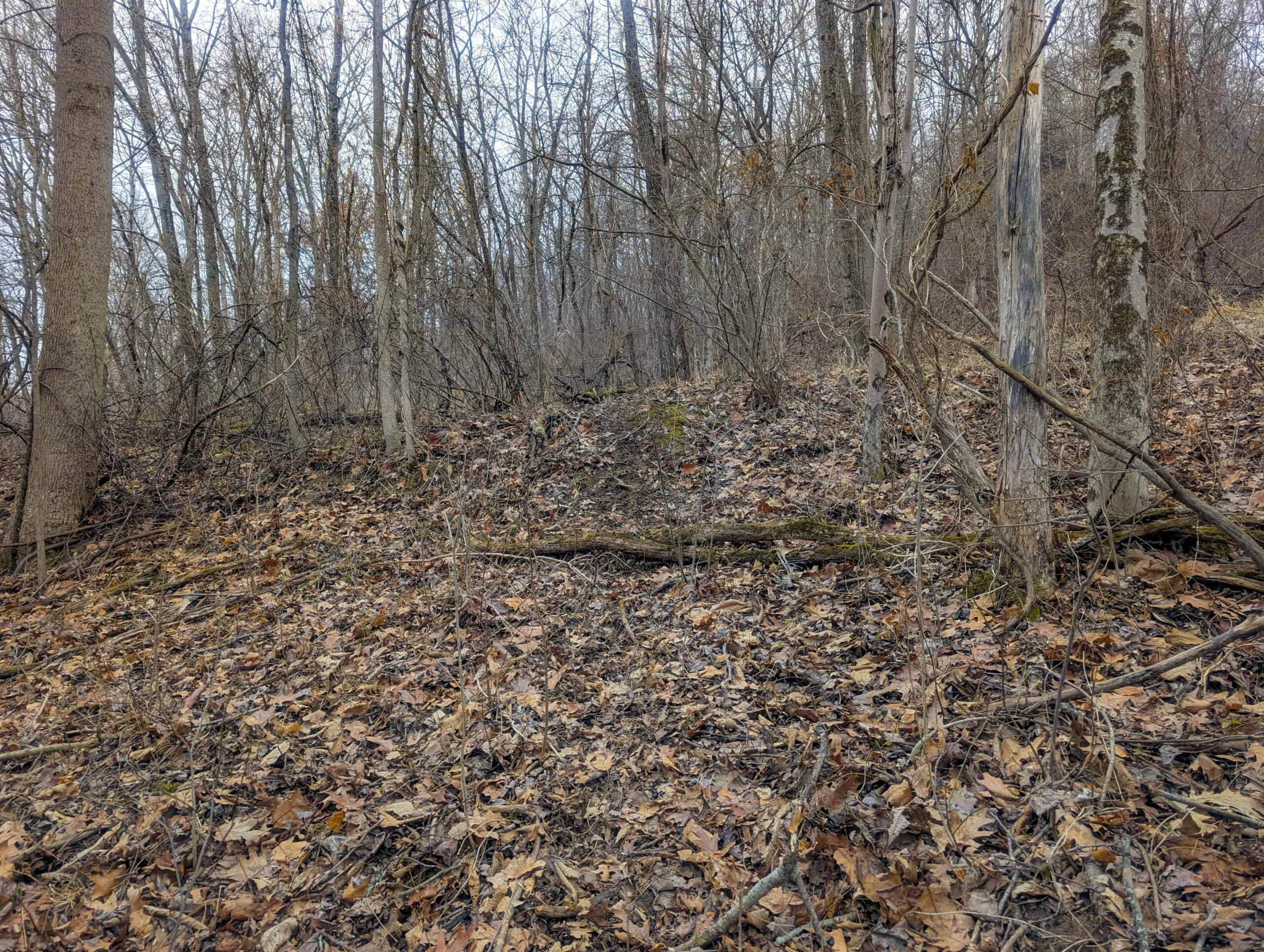 Tract 8 Dead End Road Old Homestead with Hunting and Timberland