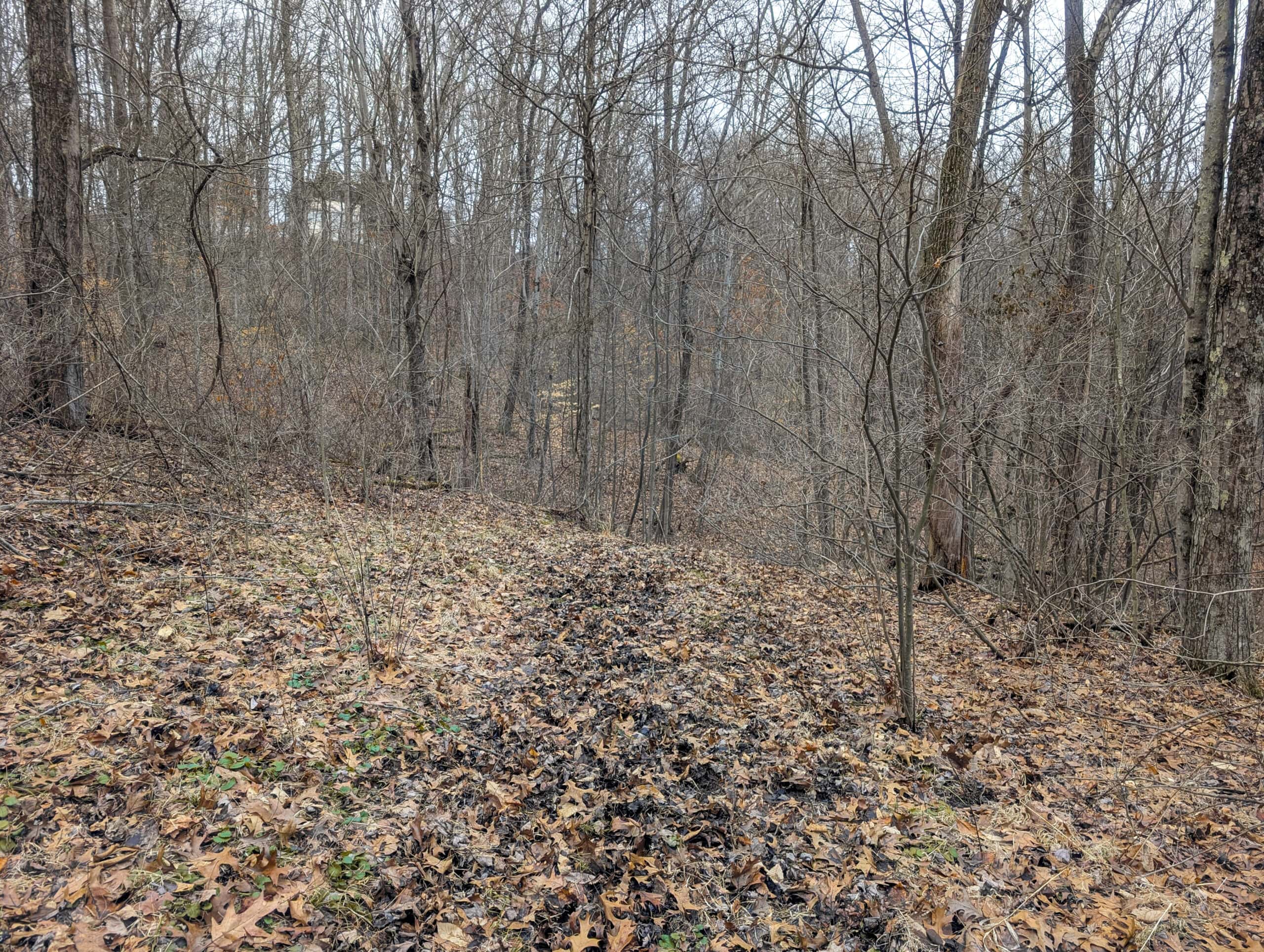 Tract 8 Dead End Road Old Homestead with Hunting and Timberland