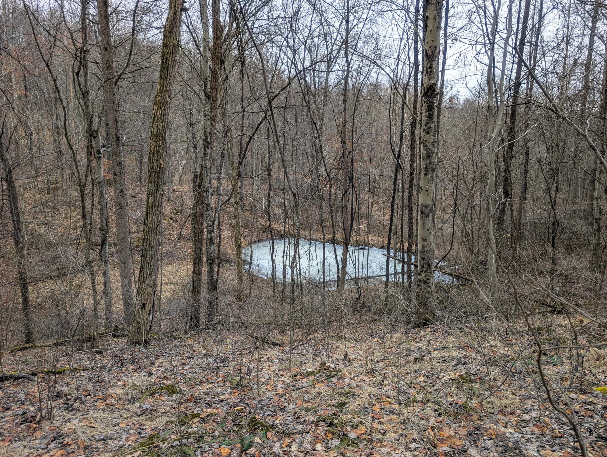 Tract 8 Dead End Road Old Homestead with Hunting and Timberland