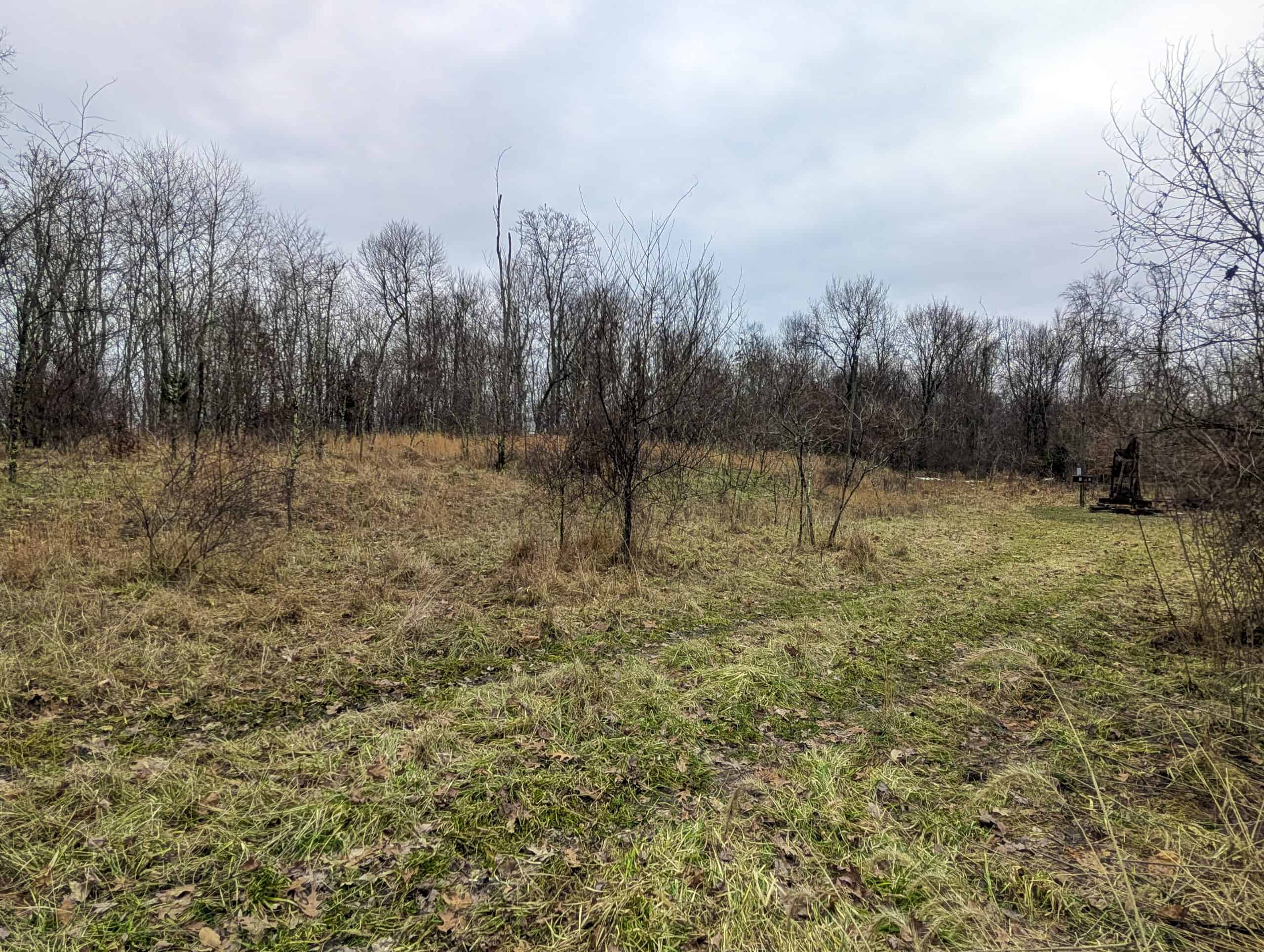 Tract 8 Dead End Road Old Homestead with Hunting and Timberland