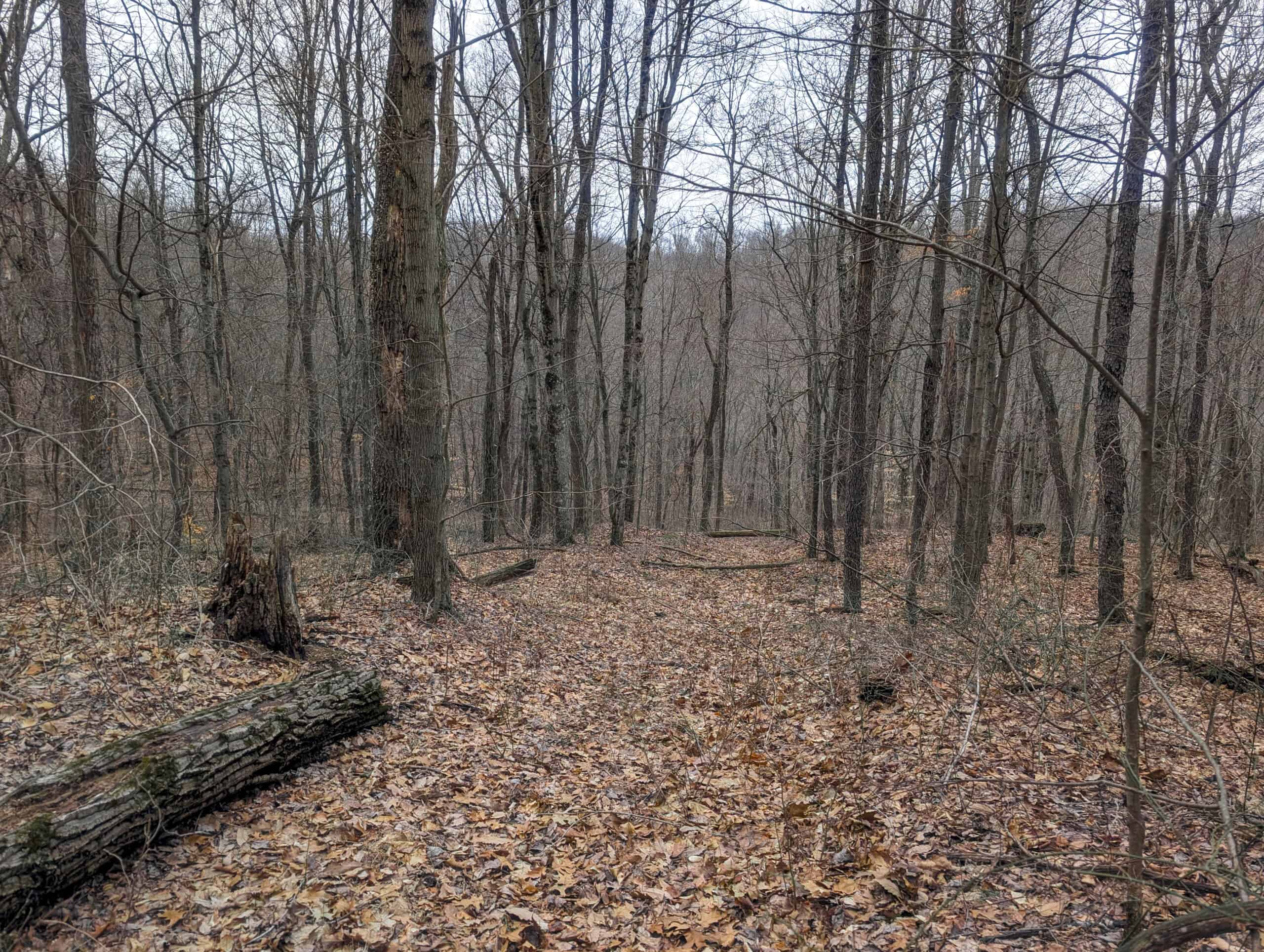 Tract 8 Dead End Road Old Homestead with Hunting and Timberland