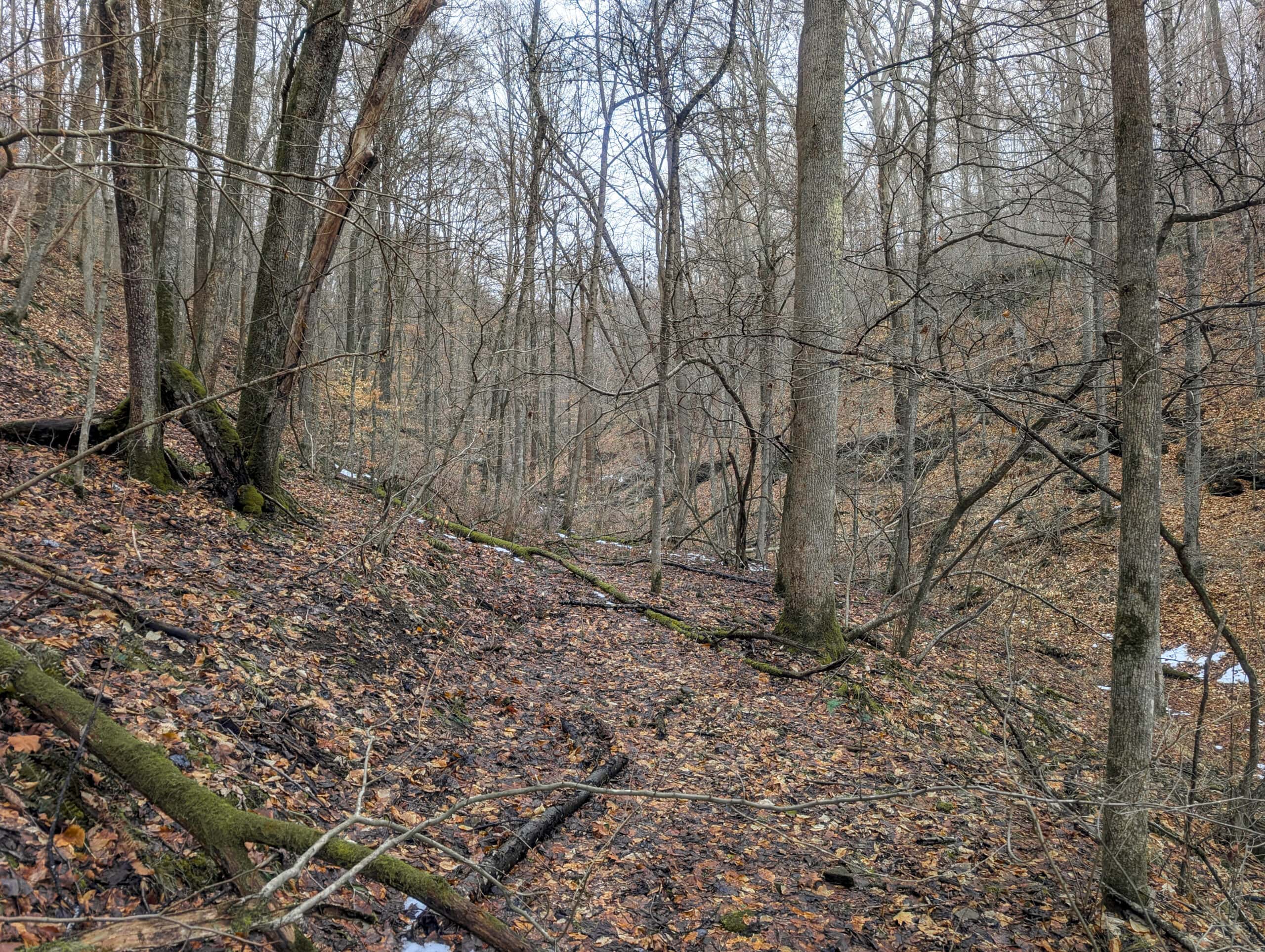 Tract 8 Dead End Road Old Homestead with Hunting and Timberland