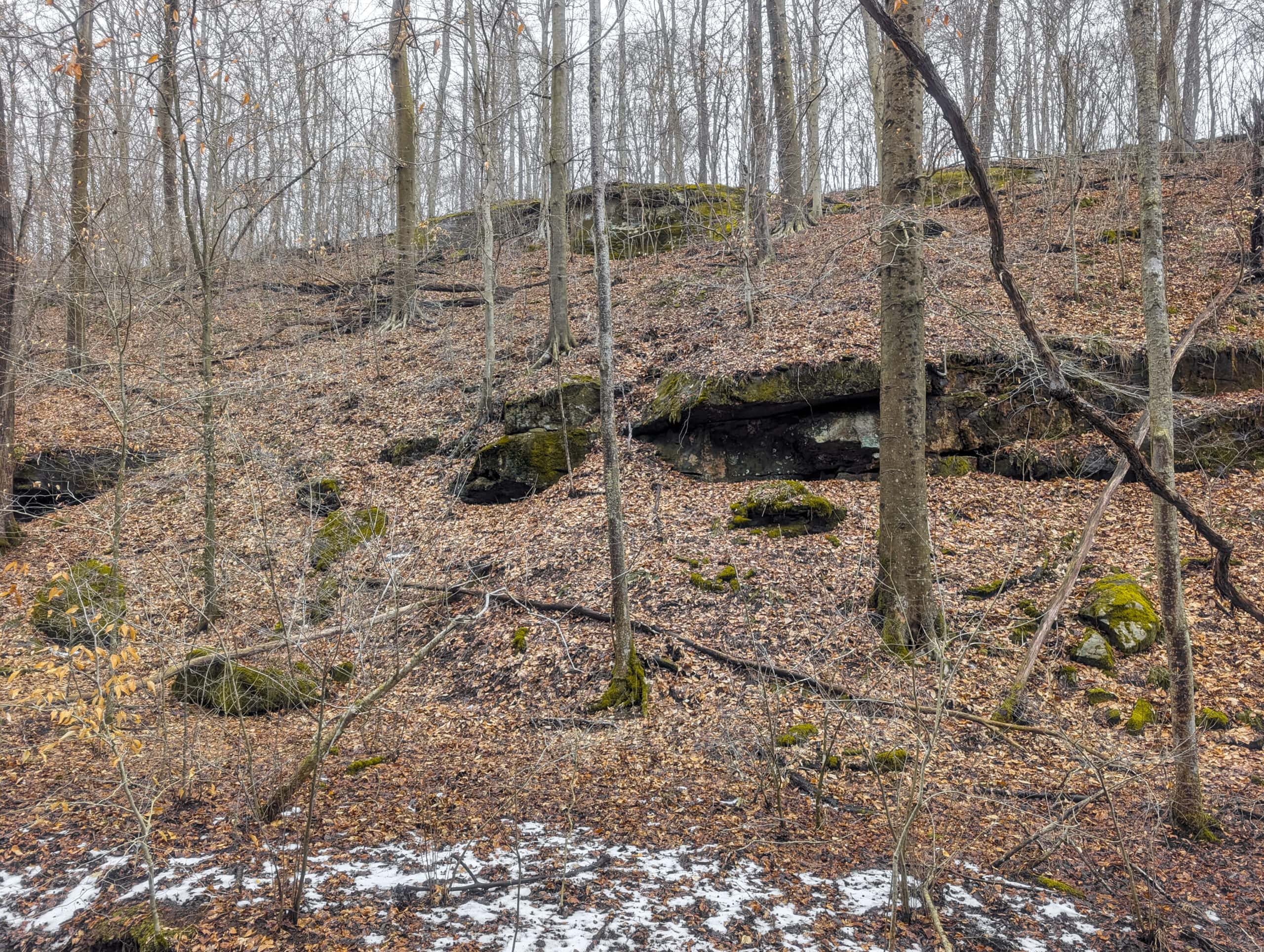 Tract 8 Dead End Road Old Homestead with Hunting and Timberland