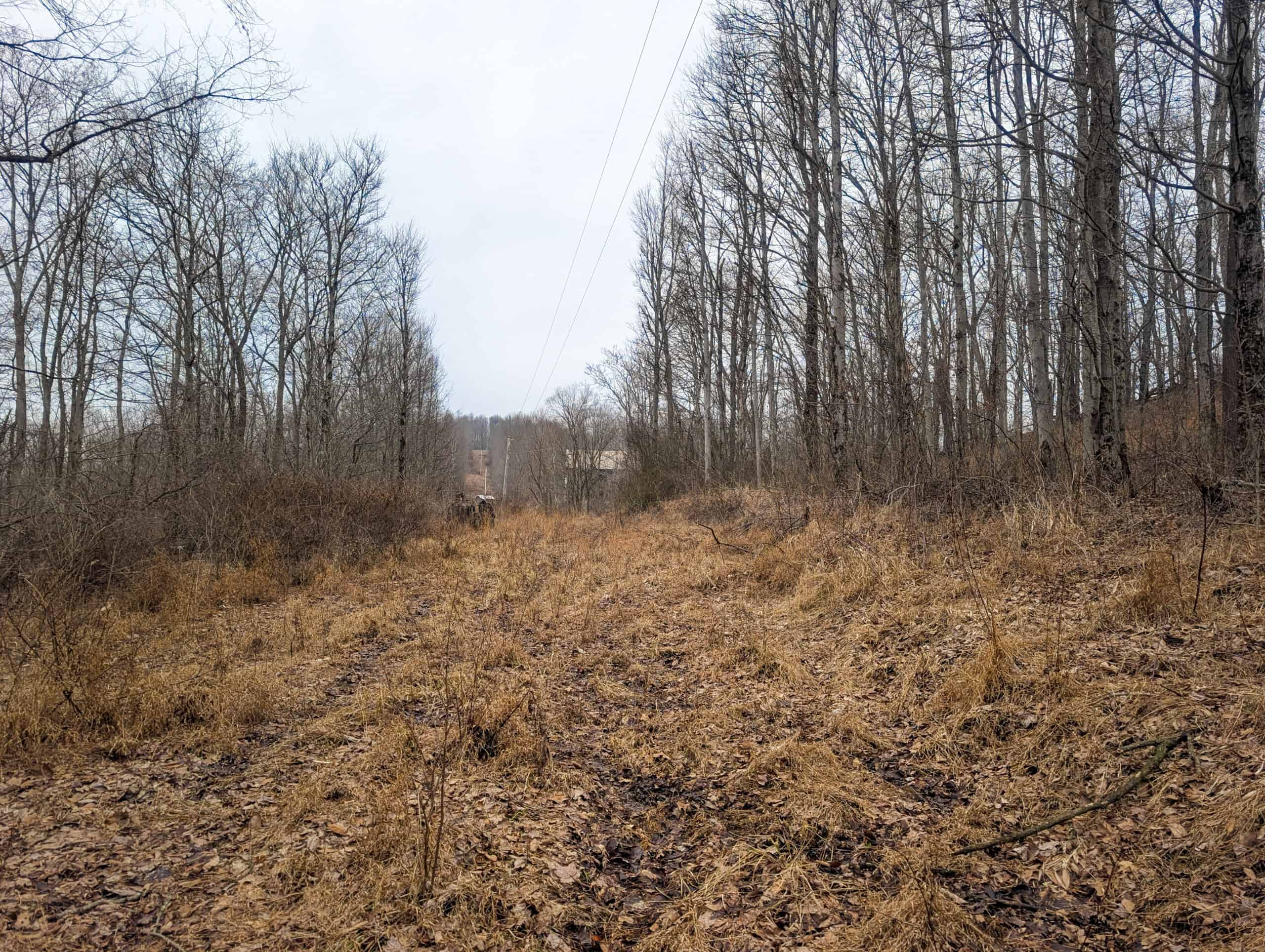Tract 8 Dead End Road Old Homestead with Hunting and Timberland