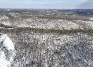 Tract 8 Dead End Road Old Homestead with Hunting and Timberland