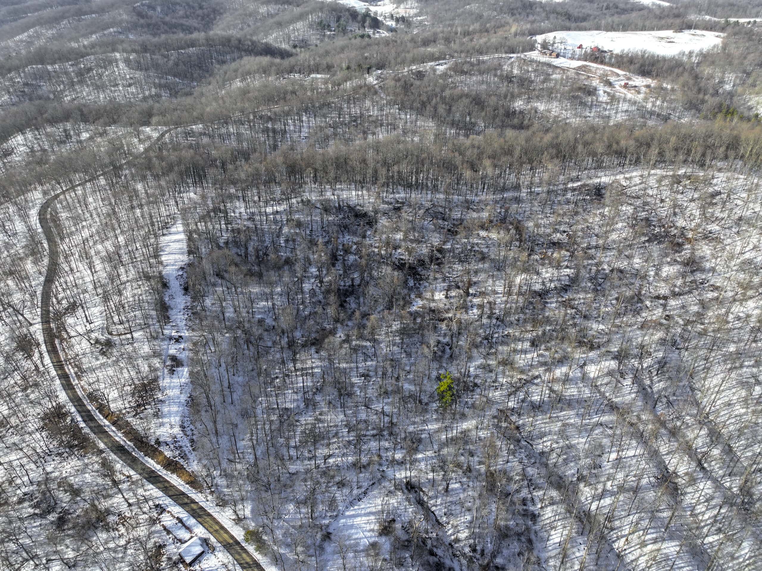 Tract 9 45± Acres Monroe County Recreational