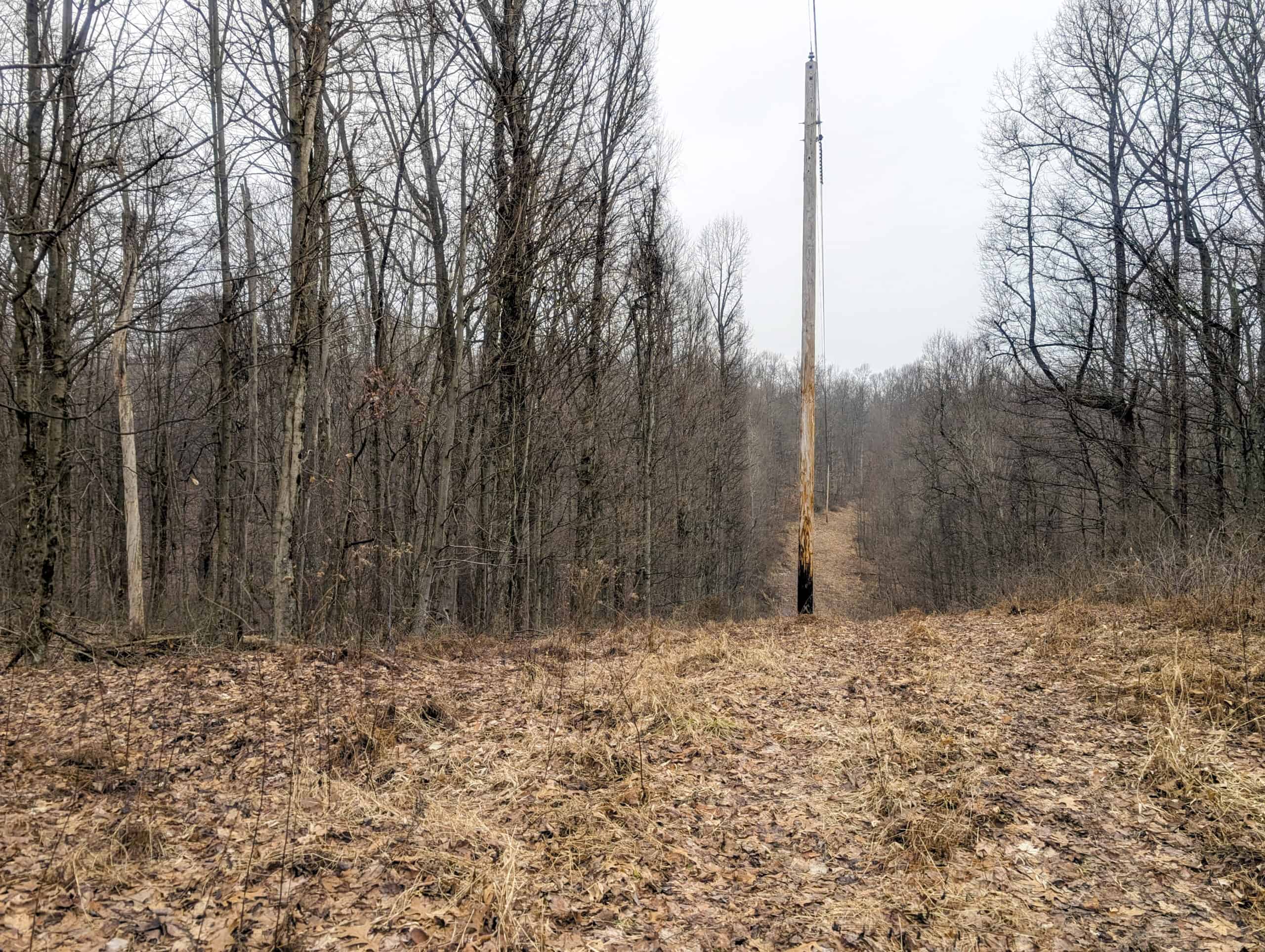 Tract 9 45± Acres Monroe County Recreational