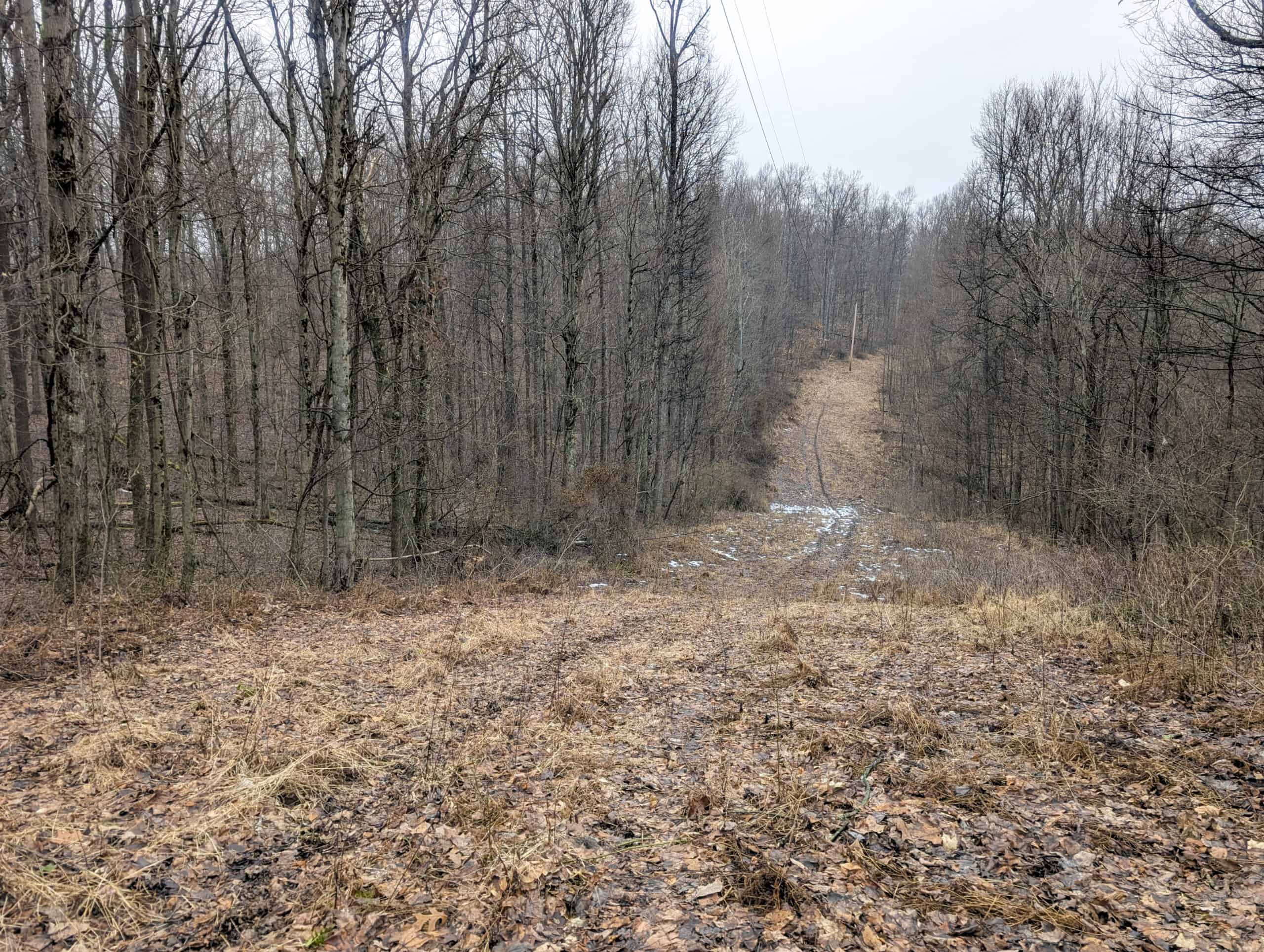 Tract 9 45± Acres Monroe County Recreational