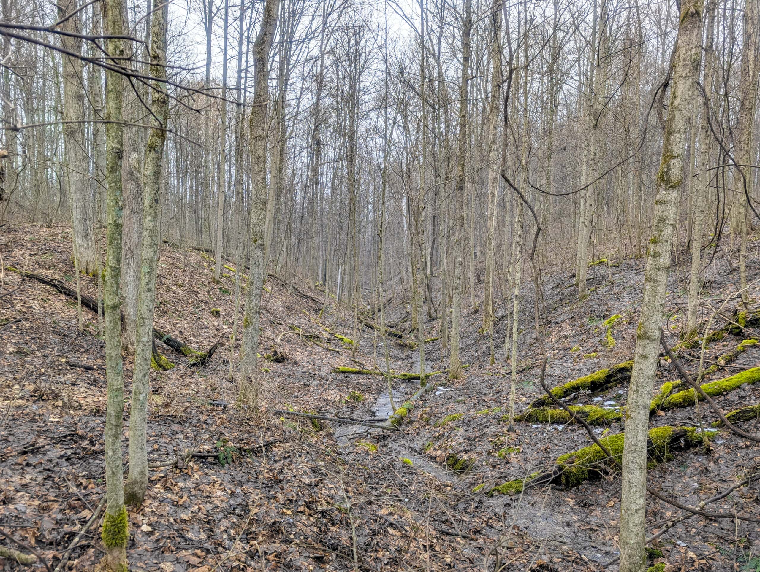 Tract 9 45± Acres Monroe County Recreational