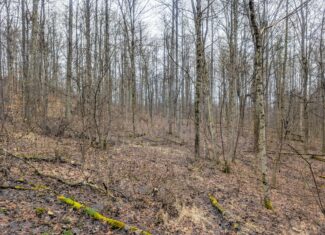 Tract 9 45± Acres Monroe County Recreational