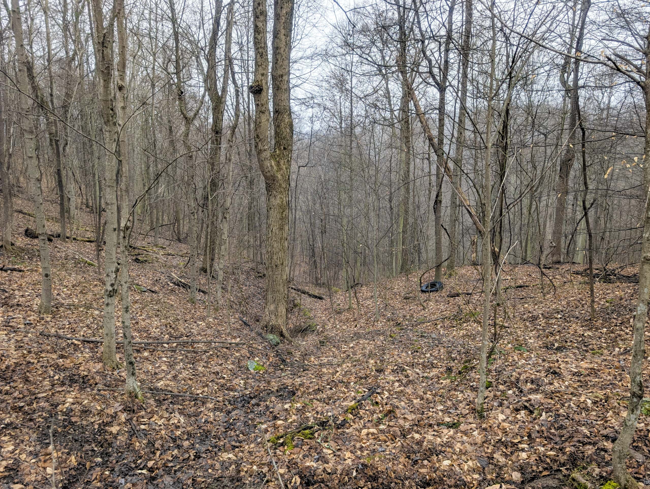 Tract 9 45± Acres Monroe County Recreational