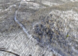 Tract 9 45± Acres Monroe County Recreational