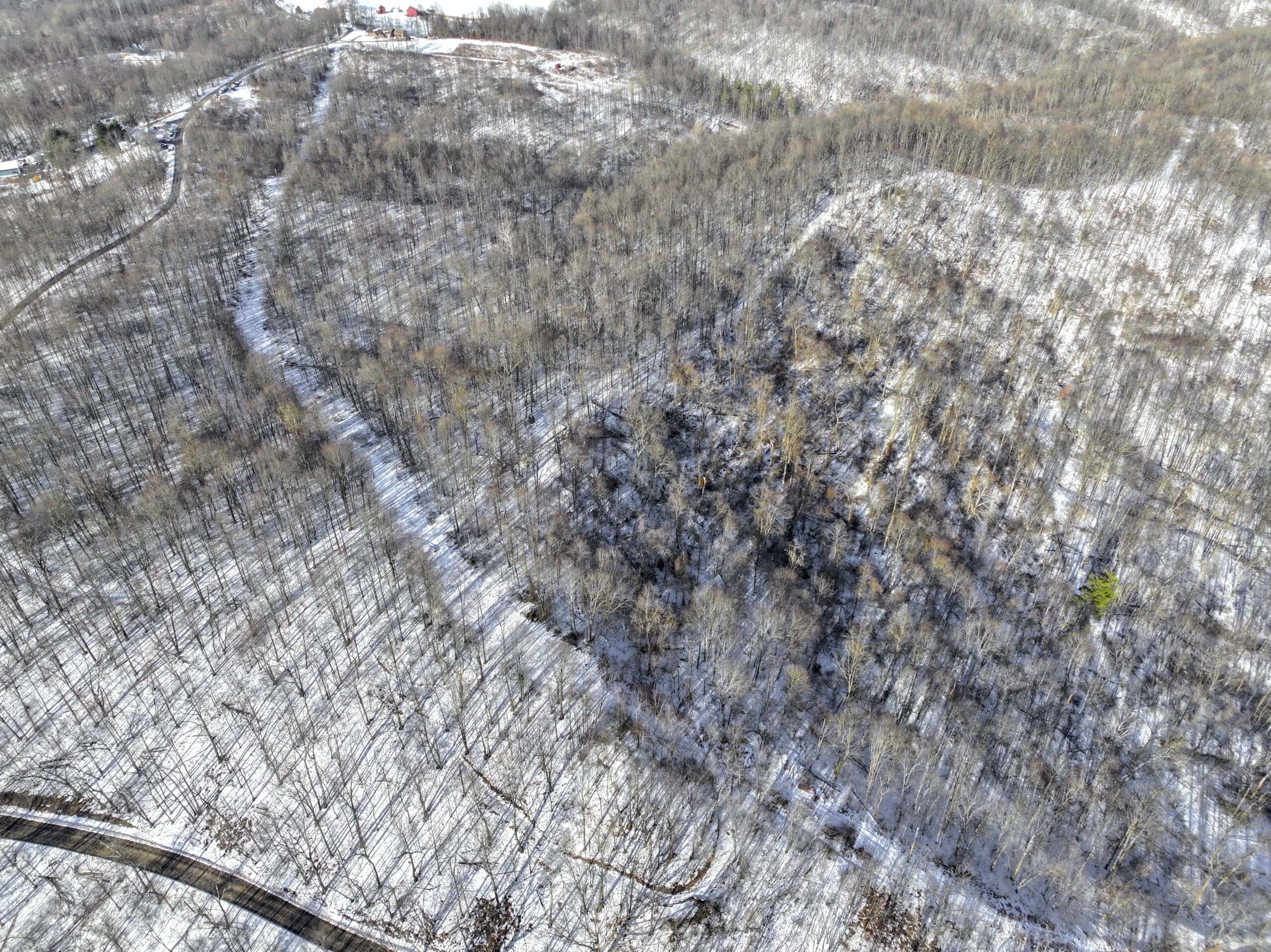 Tract 9 45± Acres Monroe County Recreational