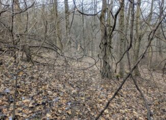 Tract 9 45± Acres Monroe County Recreational