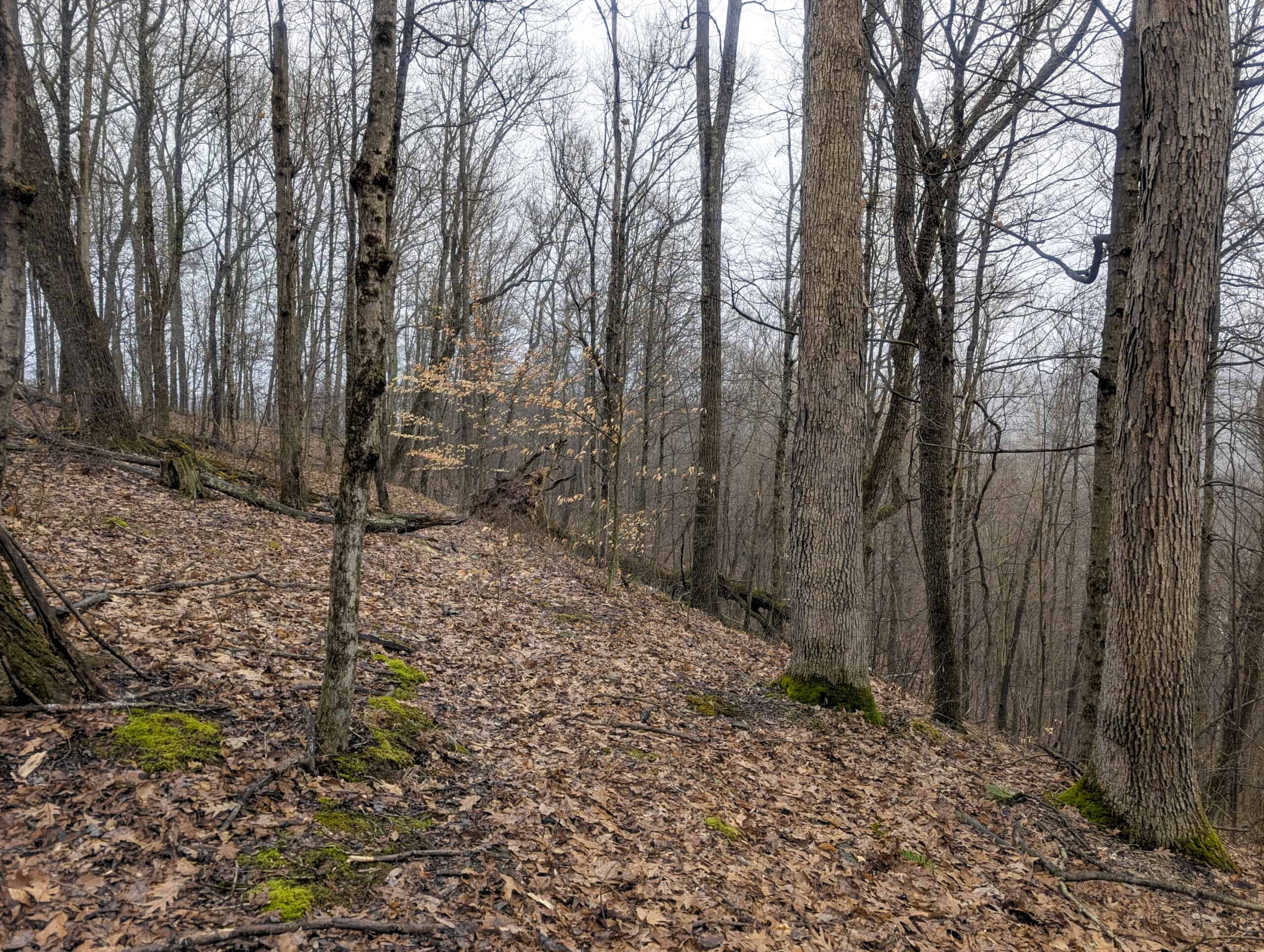 Tract 9 45± Acres Monroe County Recreational