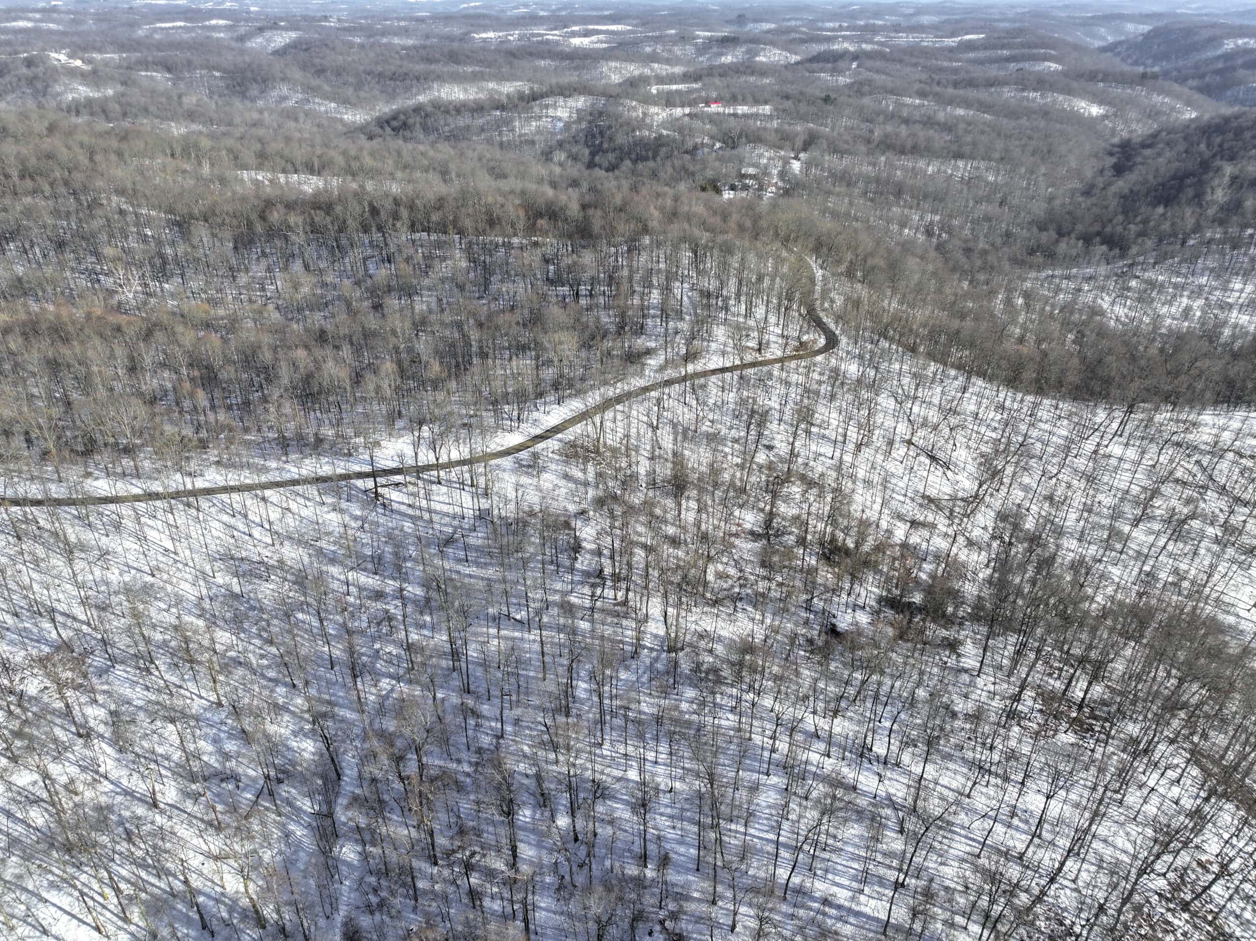 Tract 9 45± Acres Monroe County Recreational