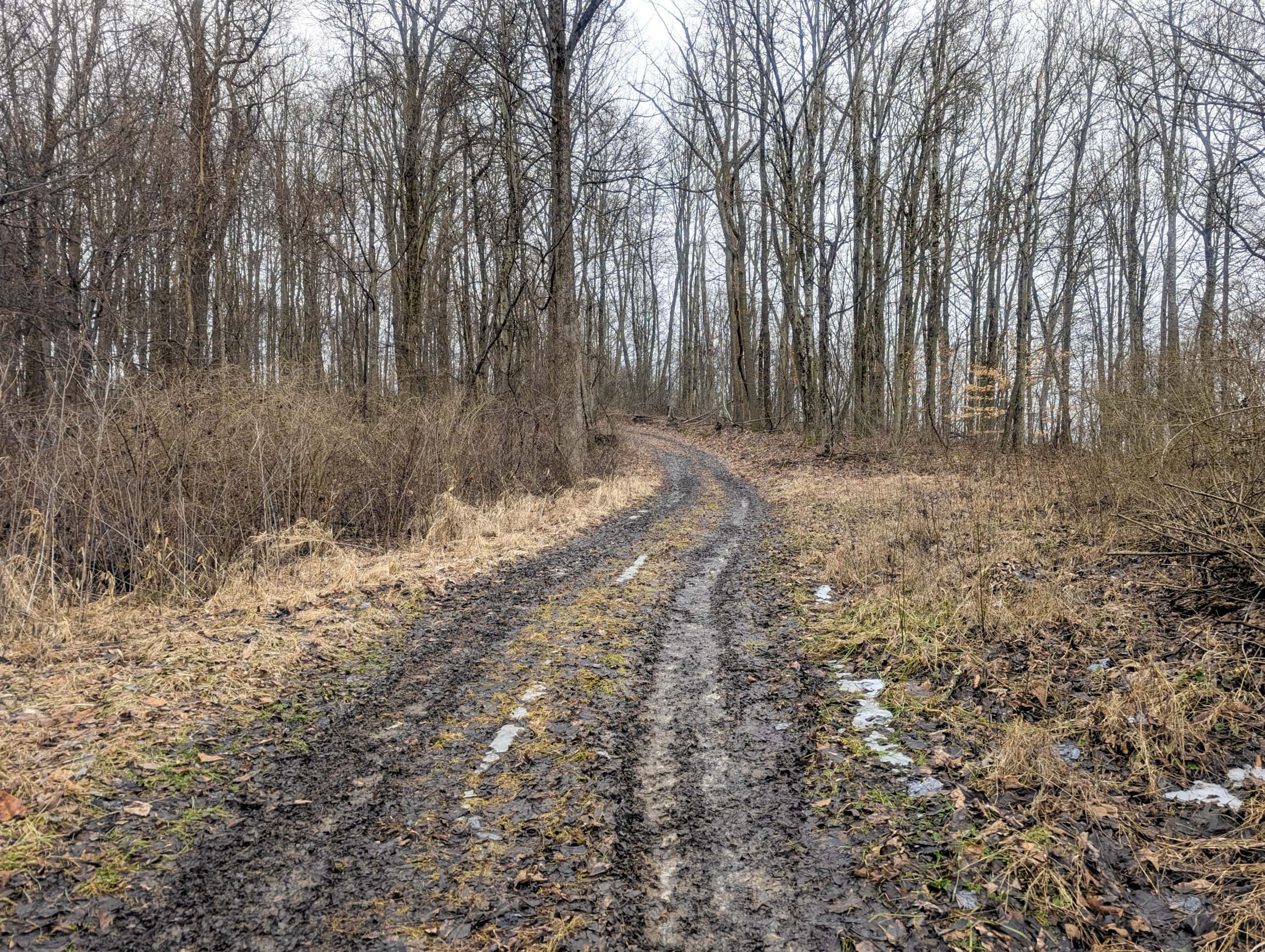 Tract 9 45± Acres Monroe County Recreational