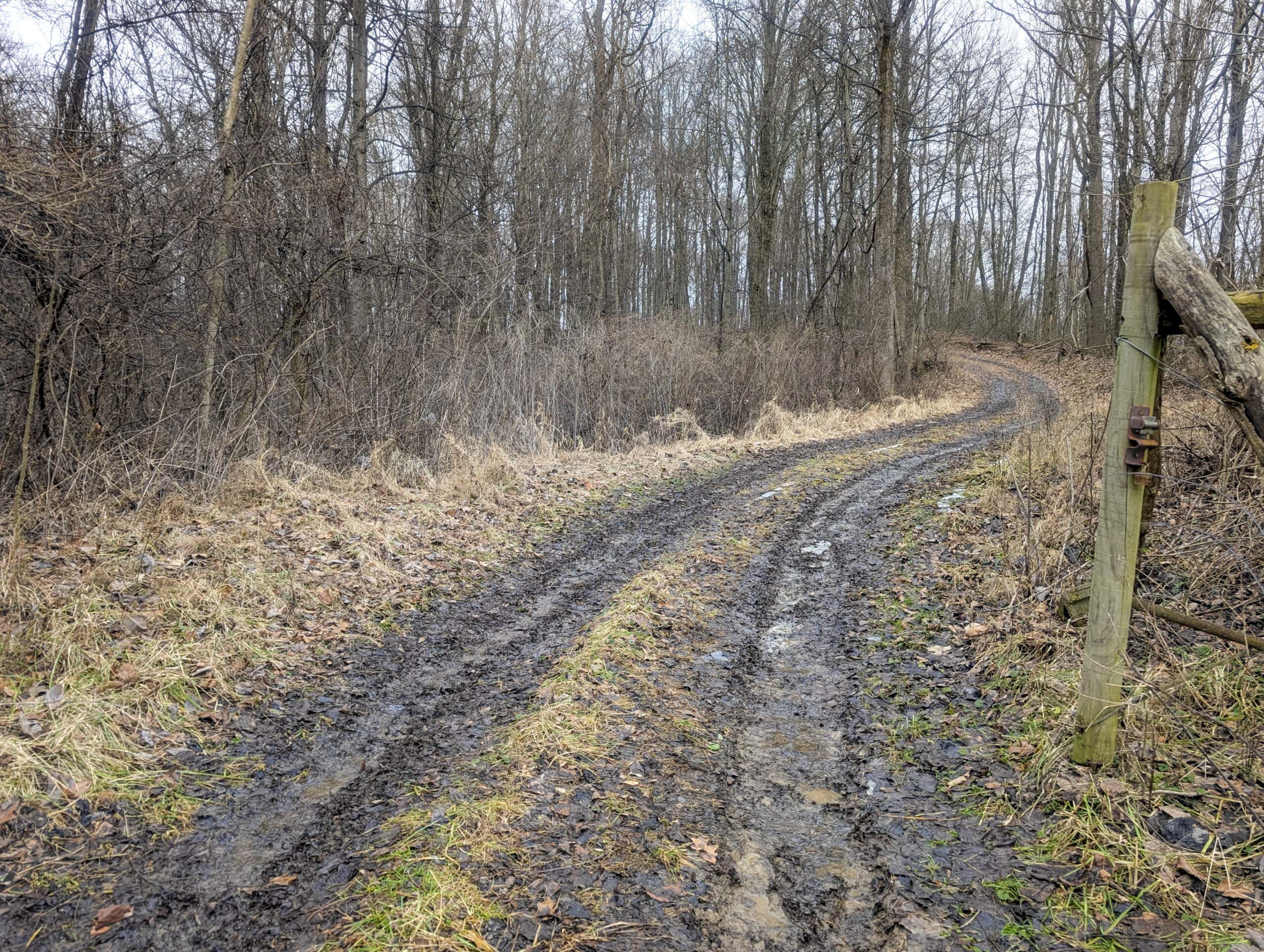 Tract 9 45± Acres Monroe County Recreational