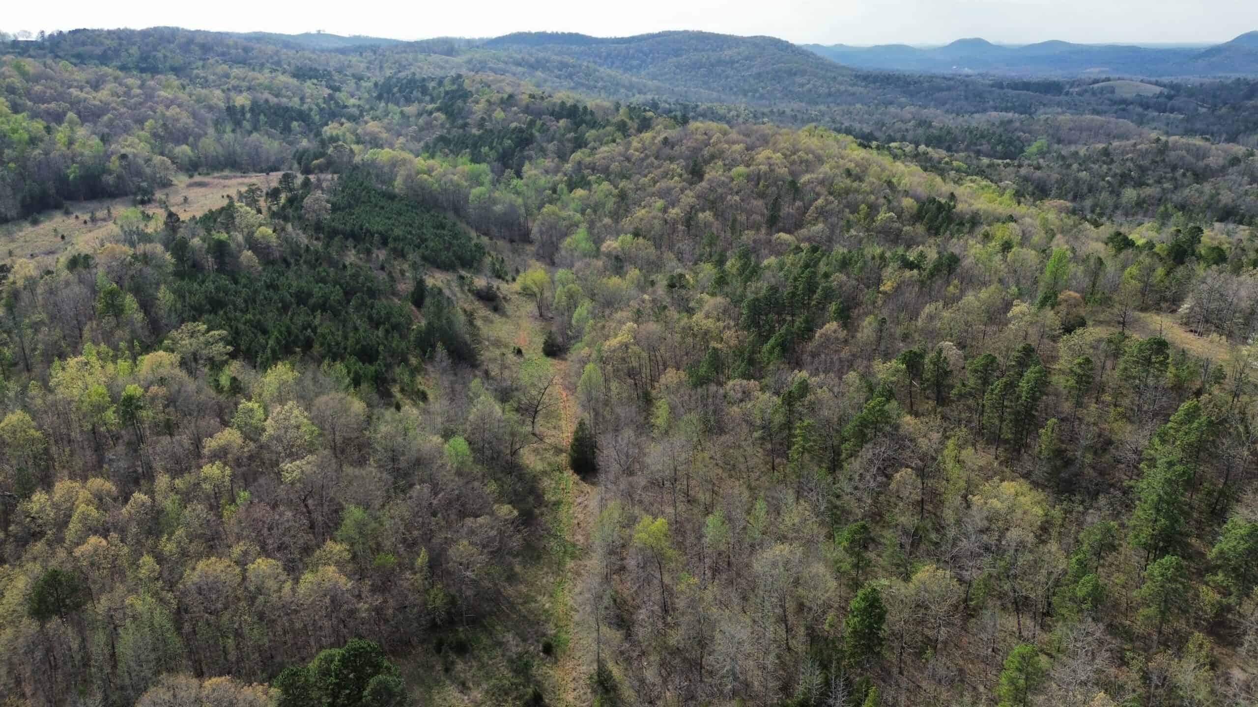 HUNTING LAND IN THE OZARK MOUNTAINS