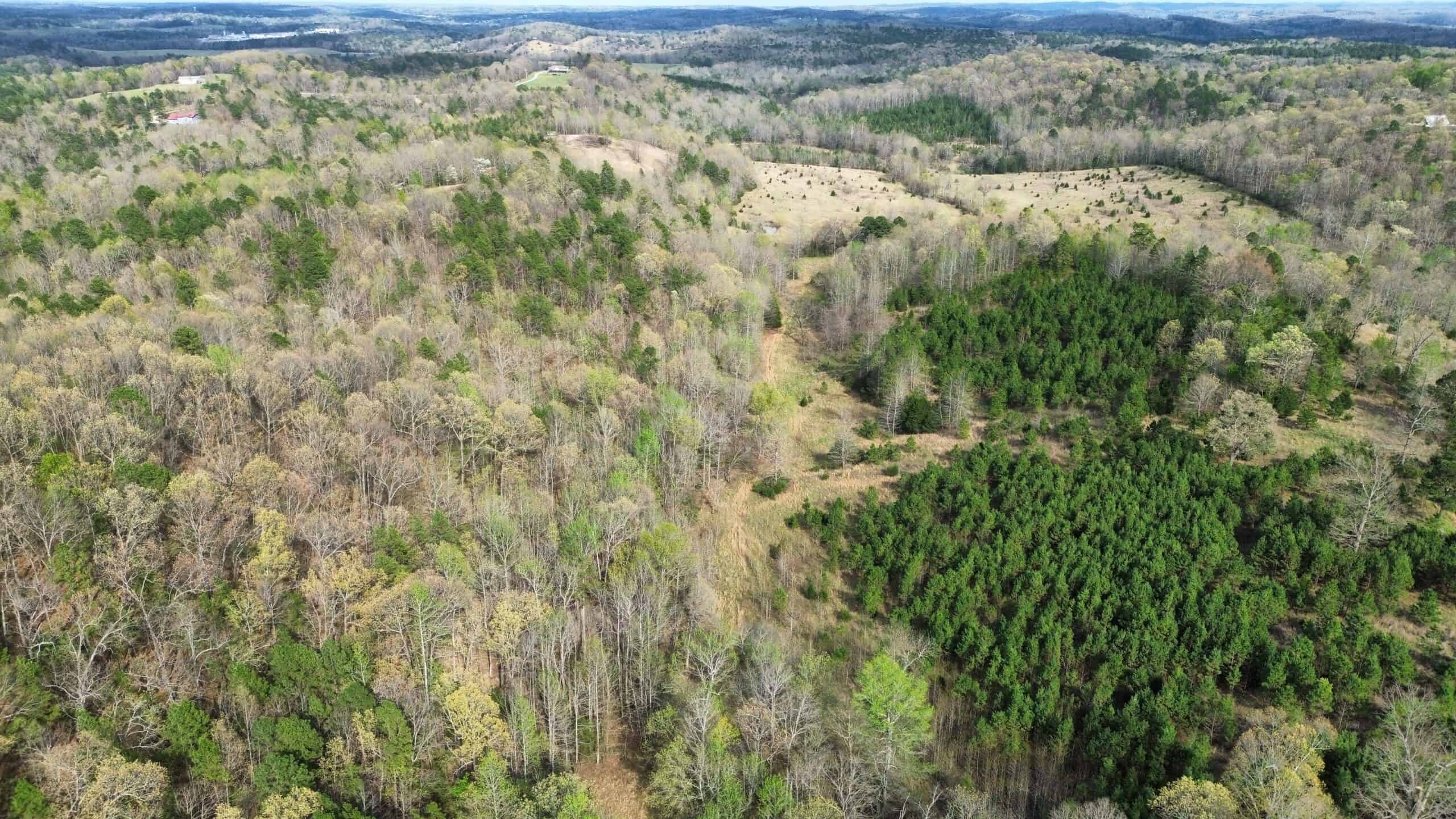 HUNTING LAND IN THE OZARK MOUNTAINS