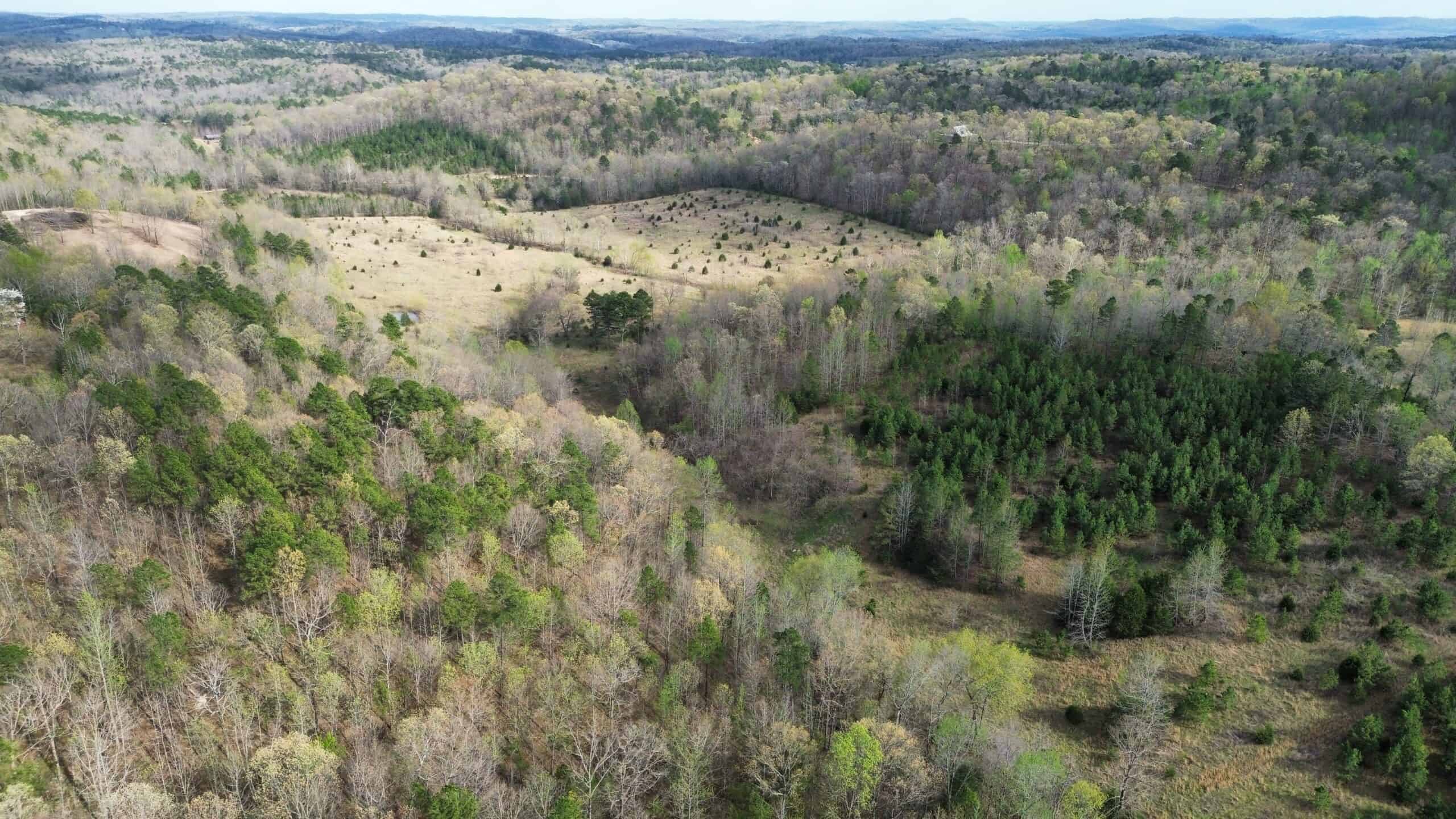 HUNTING LAND IN THE OZARK MOUNTAINS