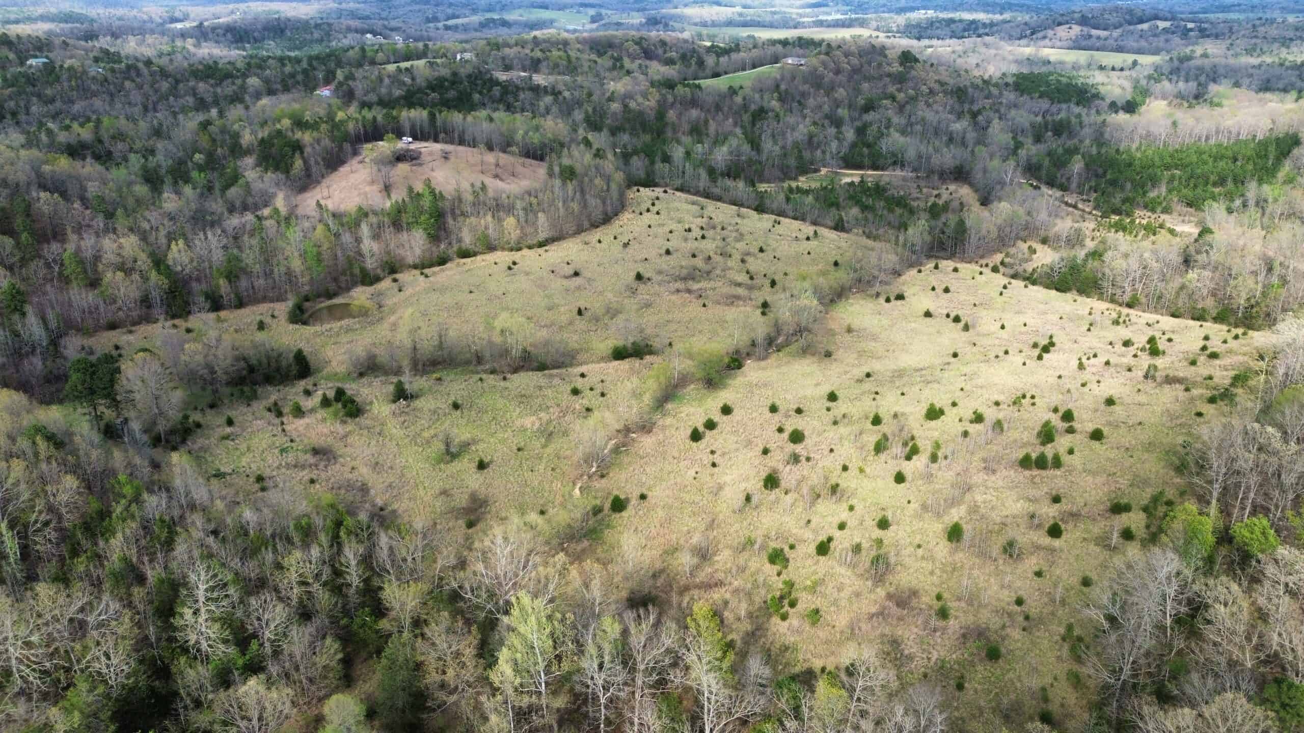 HUNTING LAND IN THE OZARK MOUNTAINS