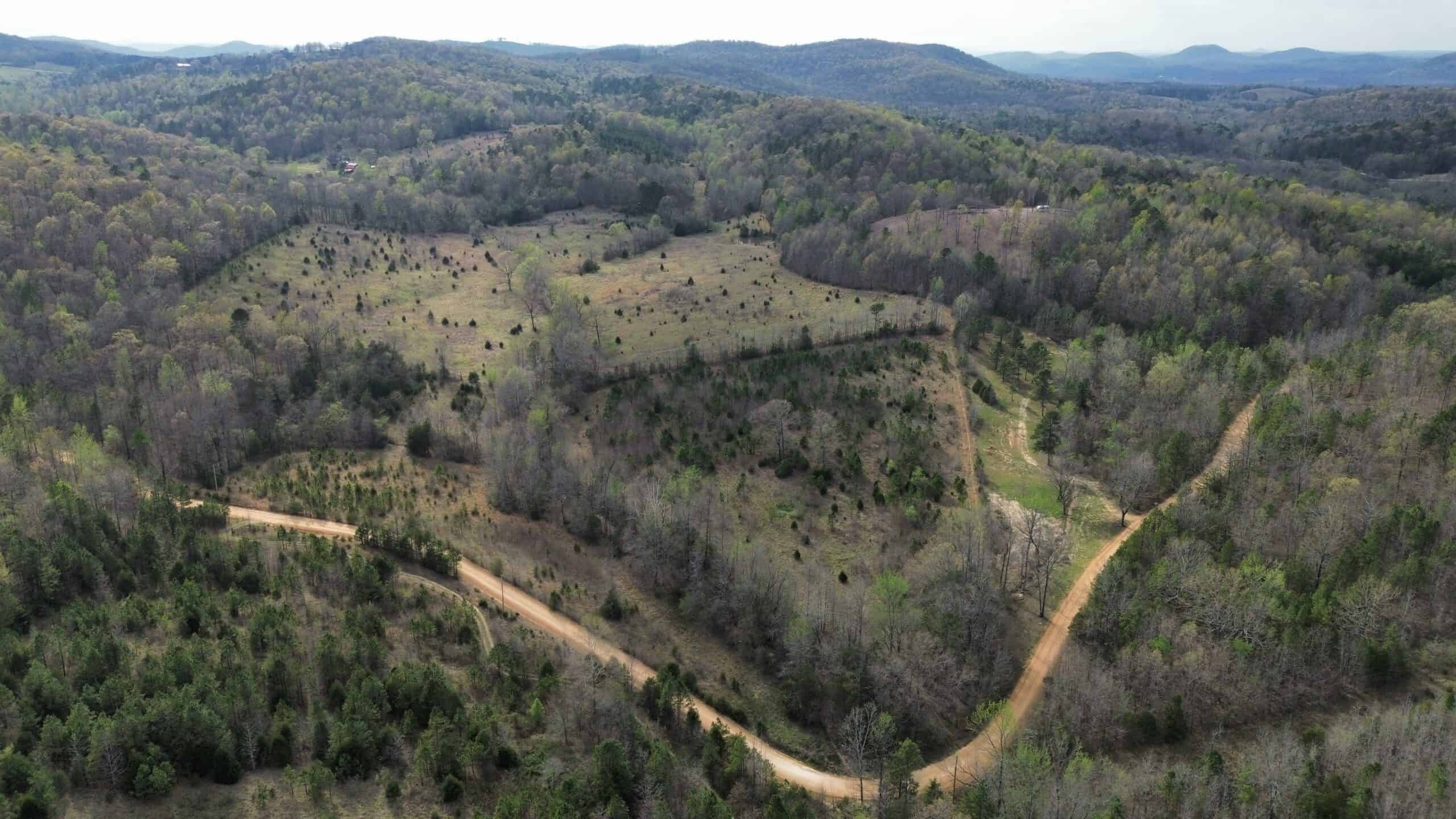 HUNTING LAND IN THE OZARK MOUNTAINS