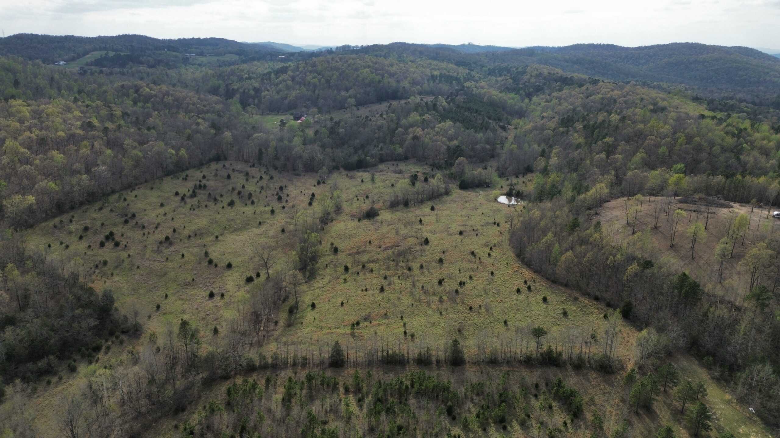 HUNTING LAND IN THE OZARK MOUNTAINS