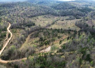 HUNTING LAND IN THE OZARK MOUNTAINS