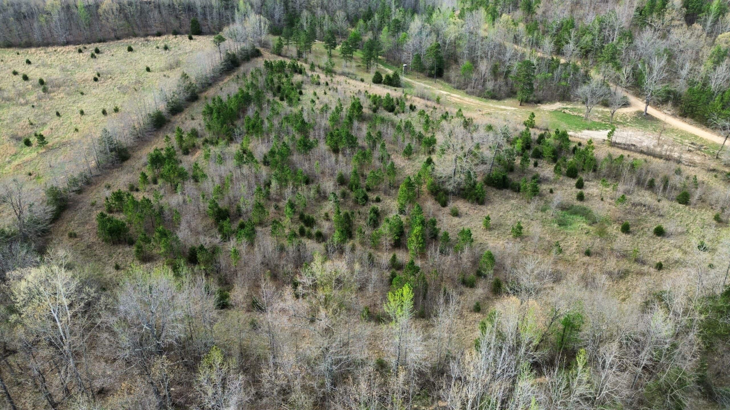HUNTING LAND IN THE OZARK MOUNTAINS