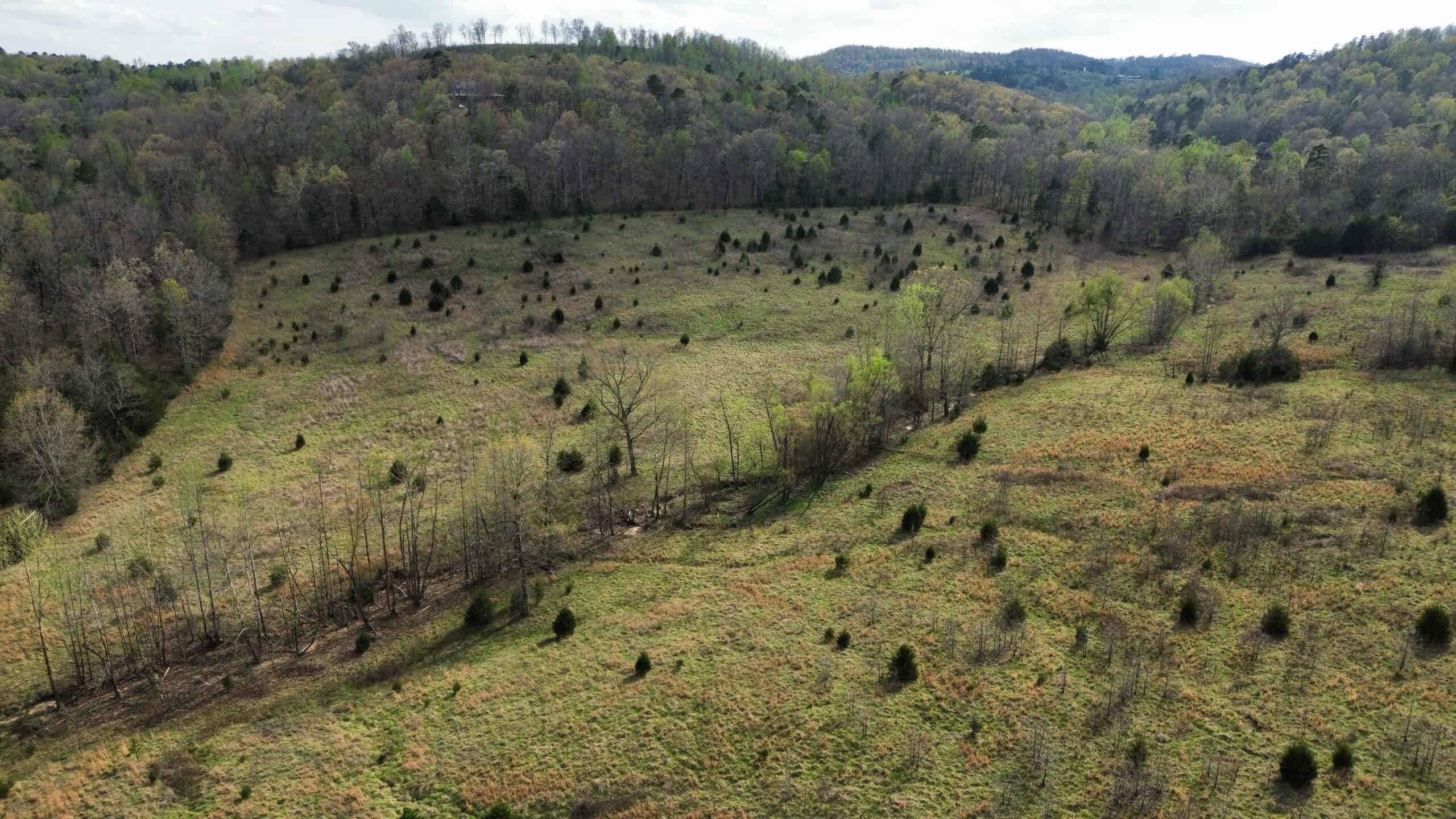 HUNTING LAND IN THE OZARK MOUNTAINS