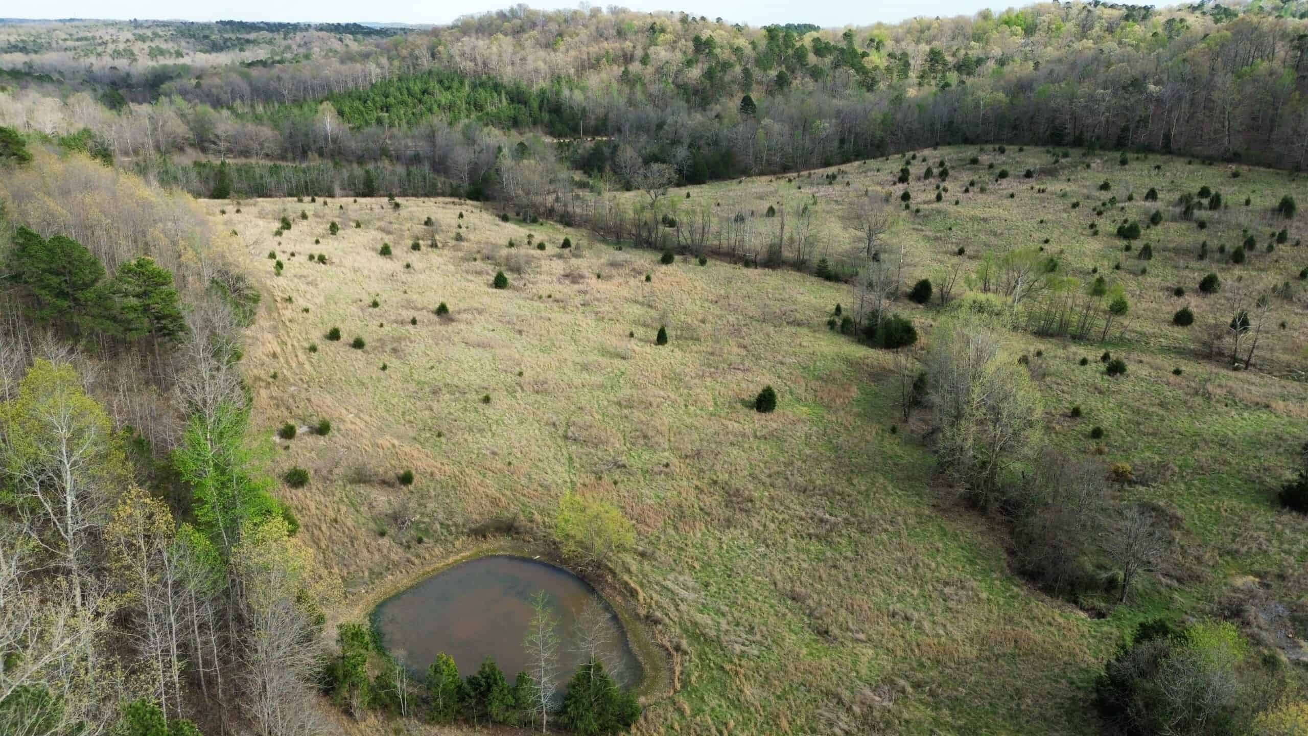 HUNTING LAND IN THE OZARK MOUNTAINS