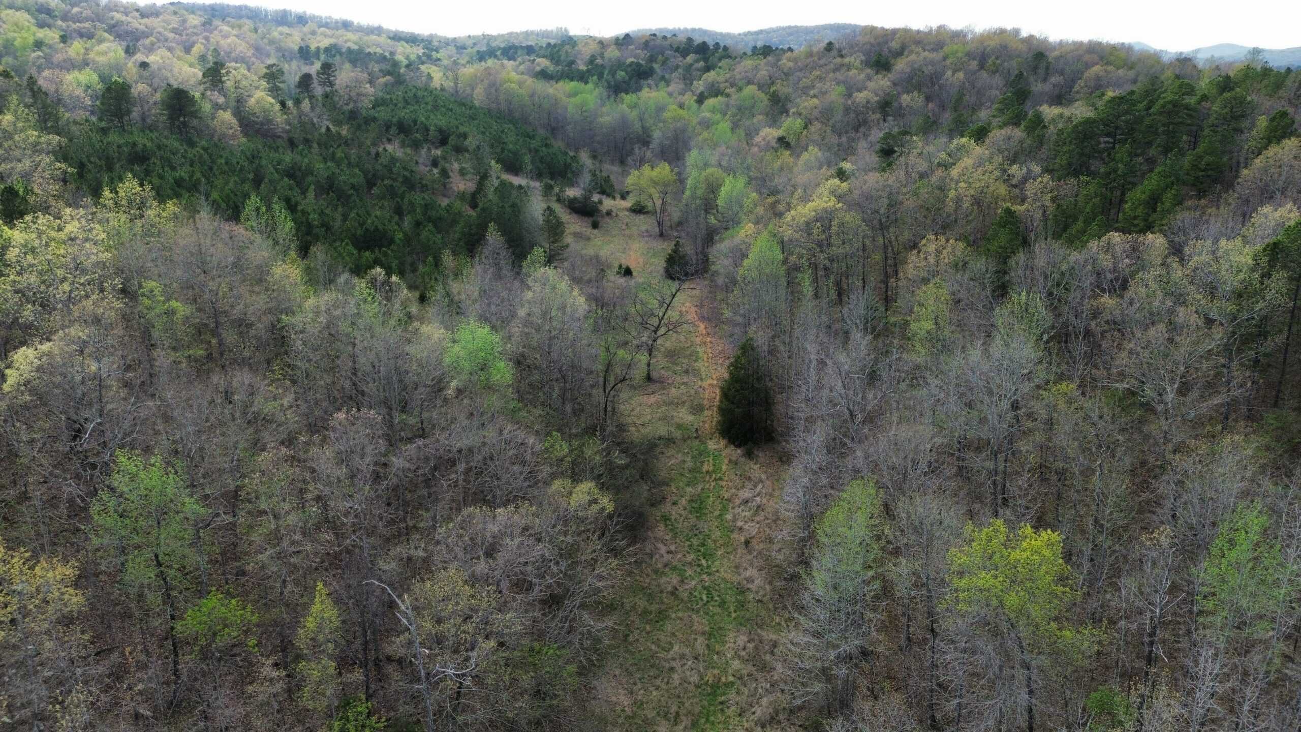 HUNTING LAND IN THE OZARK MOUNTAINS