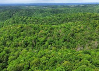 HUNTING AND RECREATIONAL LAND FOR SALE IN ARKANSAS OZARKS
