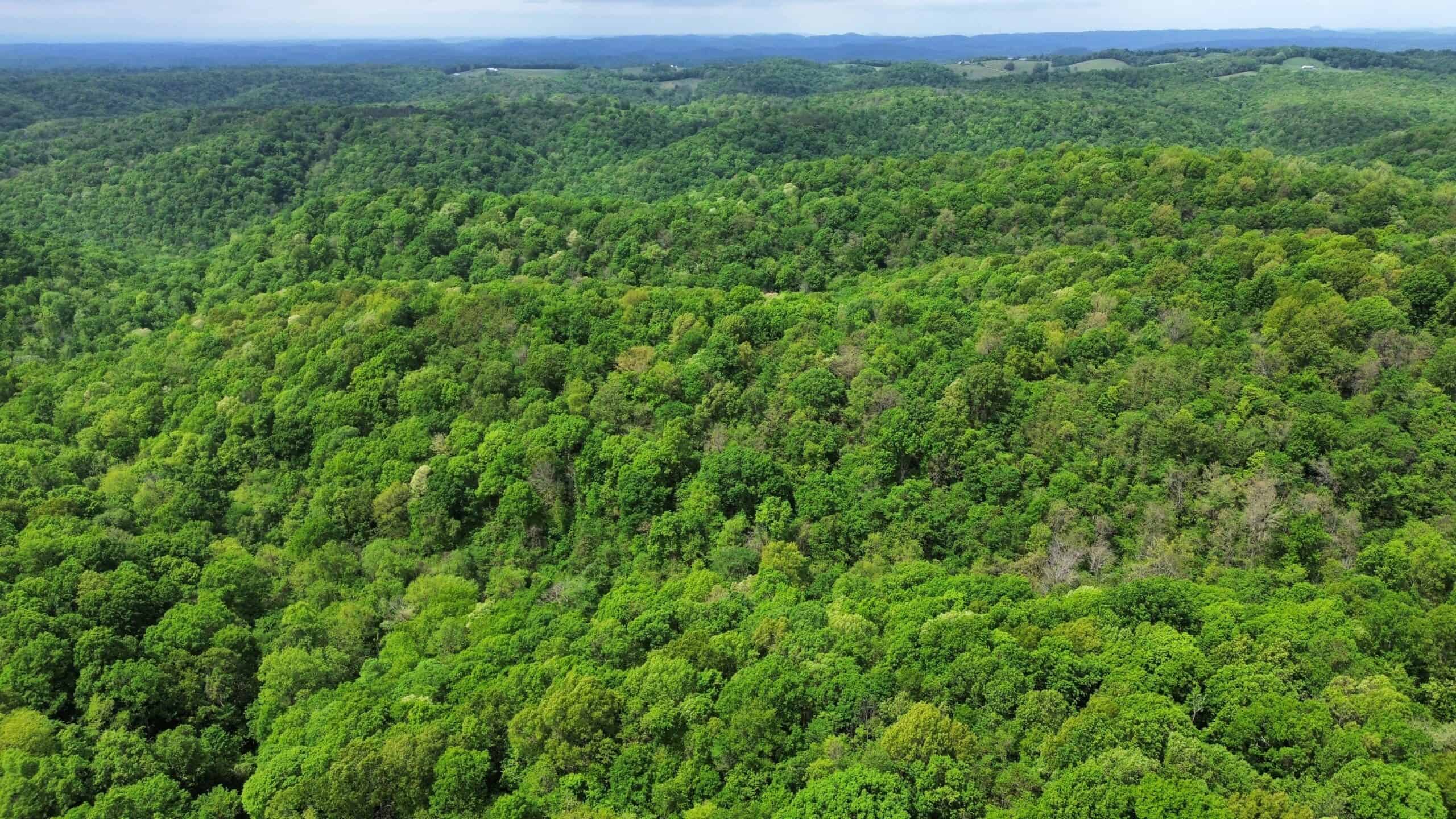 HUNTING AND RECREATIONAL LAND FOR SALE IN ARKANSAS OZARKS