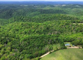 HUNTING AND RECREATIONAL LAND FOR SALE IN ARKANSAS OZARKS