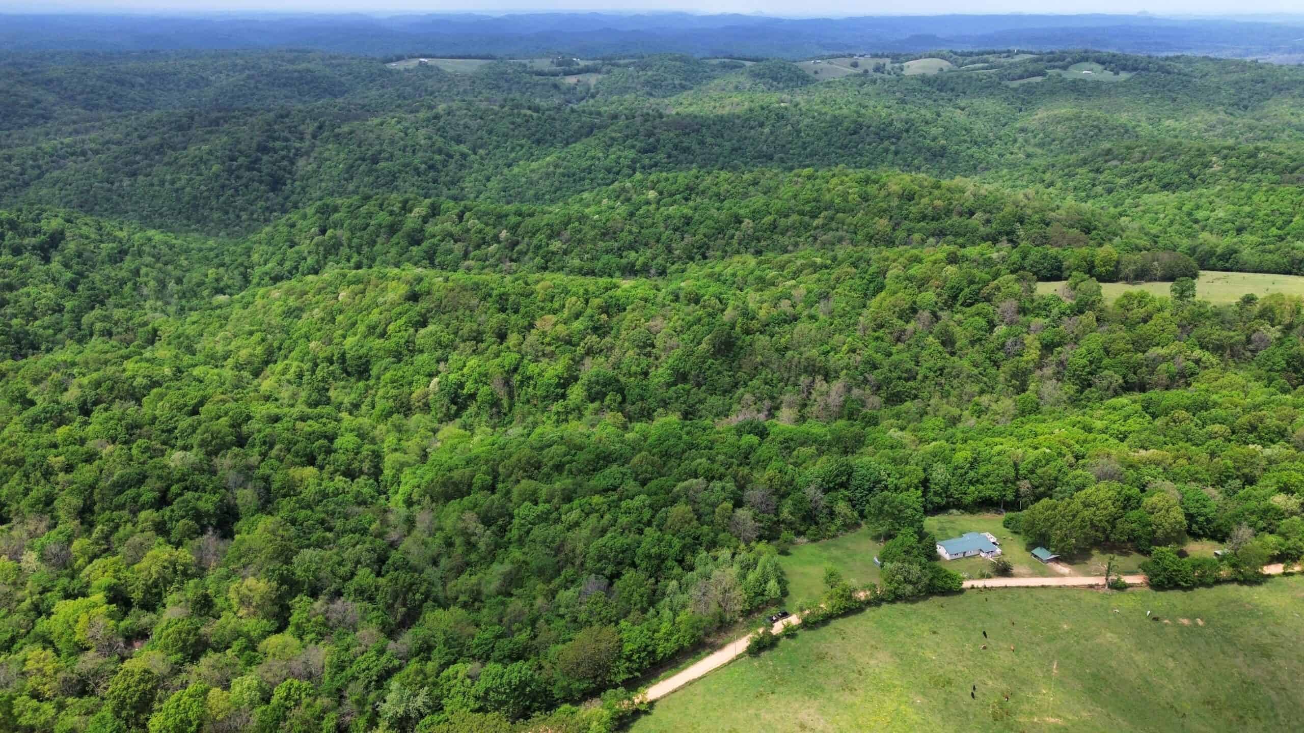 HUNTING AND RECREATIONAL LAND FOR SALE IN ARKANSAS OZARKS