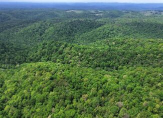 HUNTING AND RECREATIONAL LAND FOR SALE IN ARKANSAS OZARKS