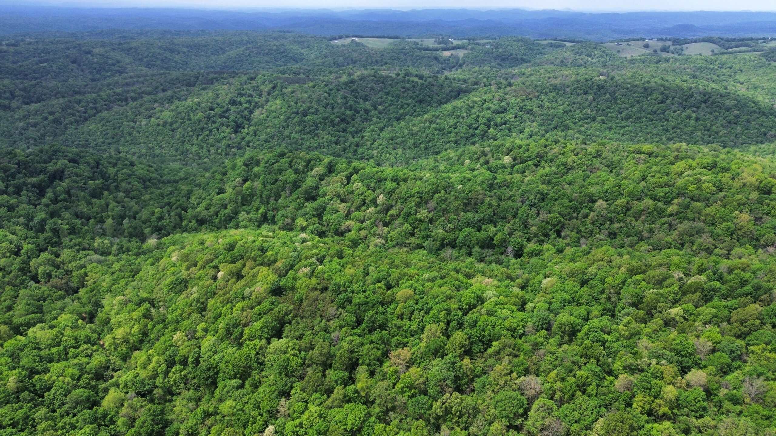 HUNTING AND RECREATIONAL LAND FOR SALE IN ARKANSAS OZARKS